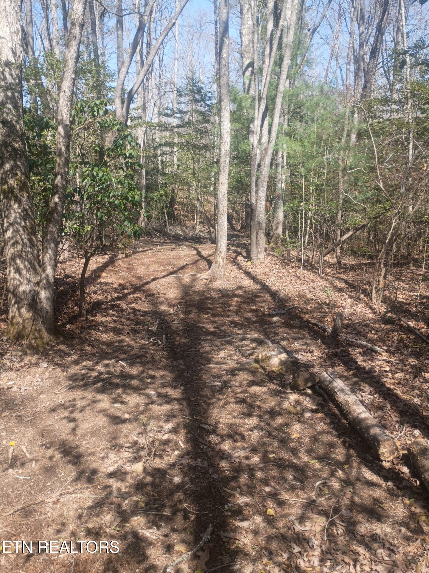 247 Copperhead Road Oakdale TN 37829