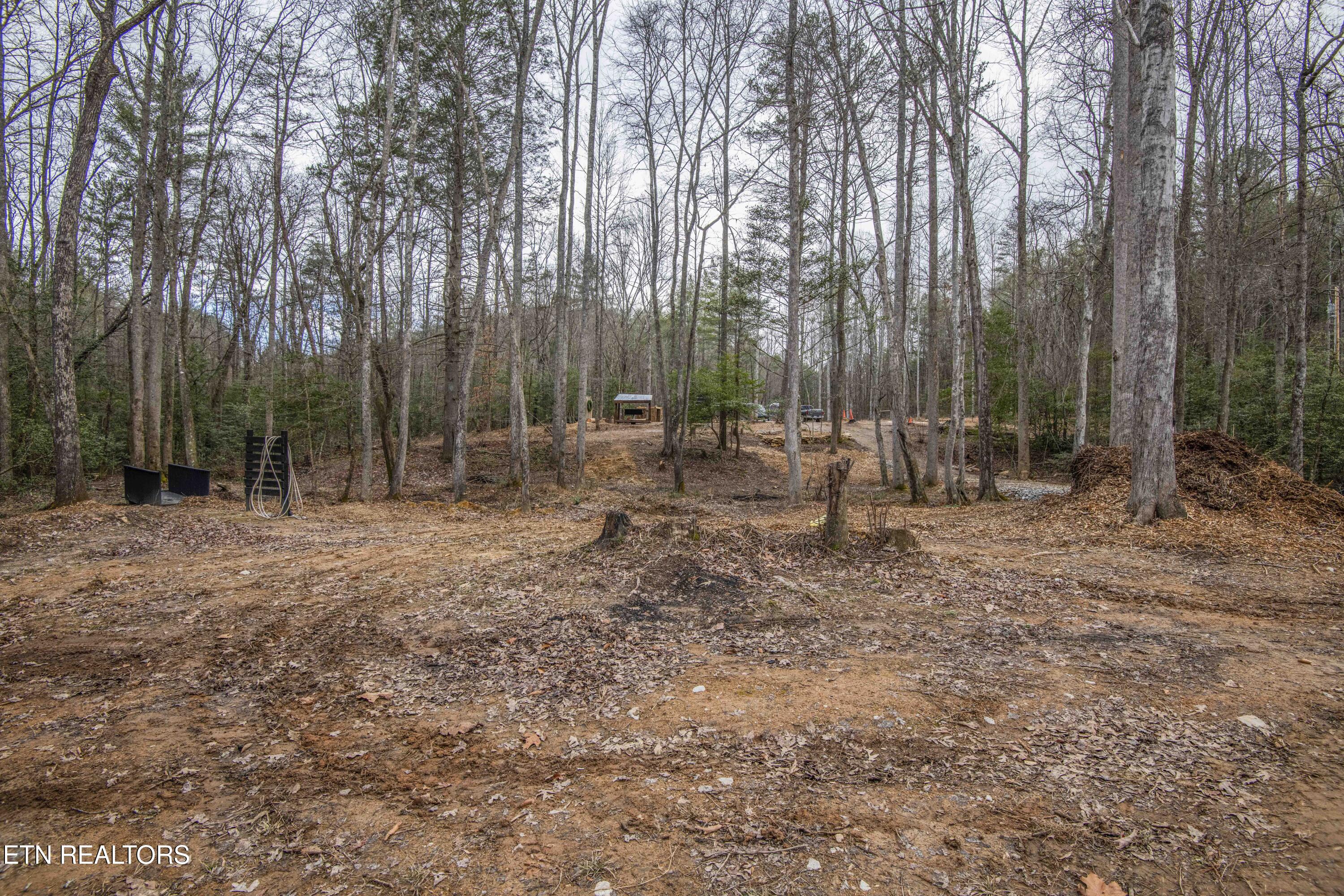 247 Copperhead Road Oakdale TN 37829