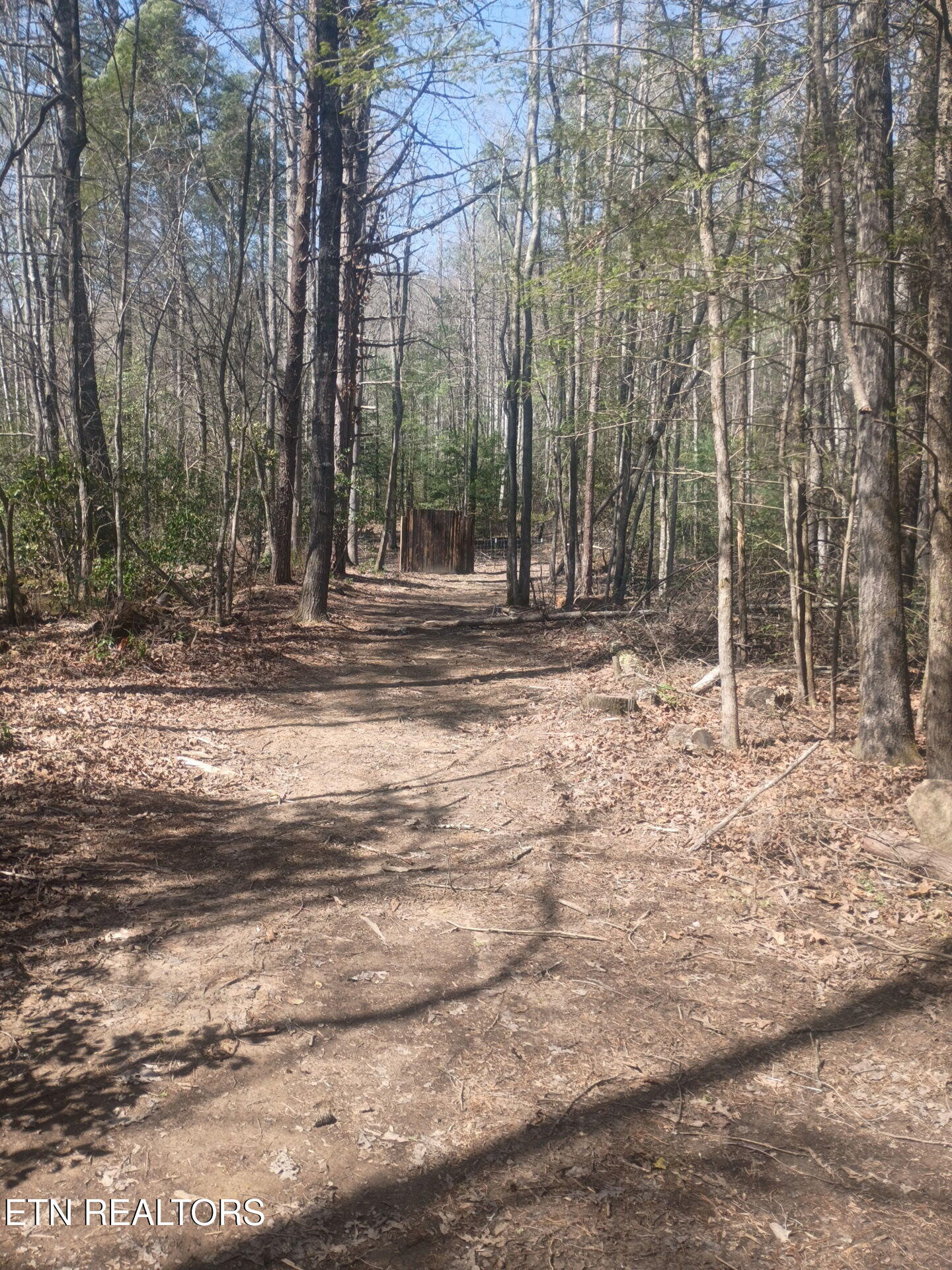 247 Copperhead Road Oakdale TN 37829