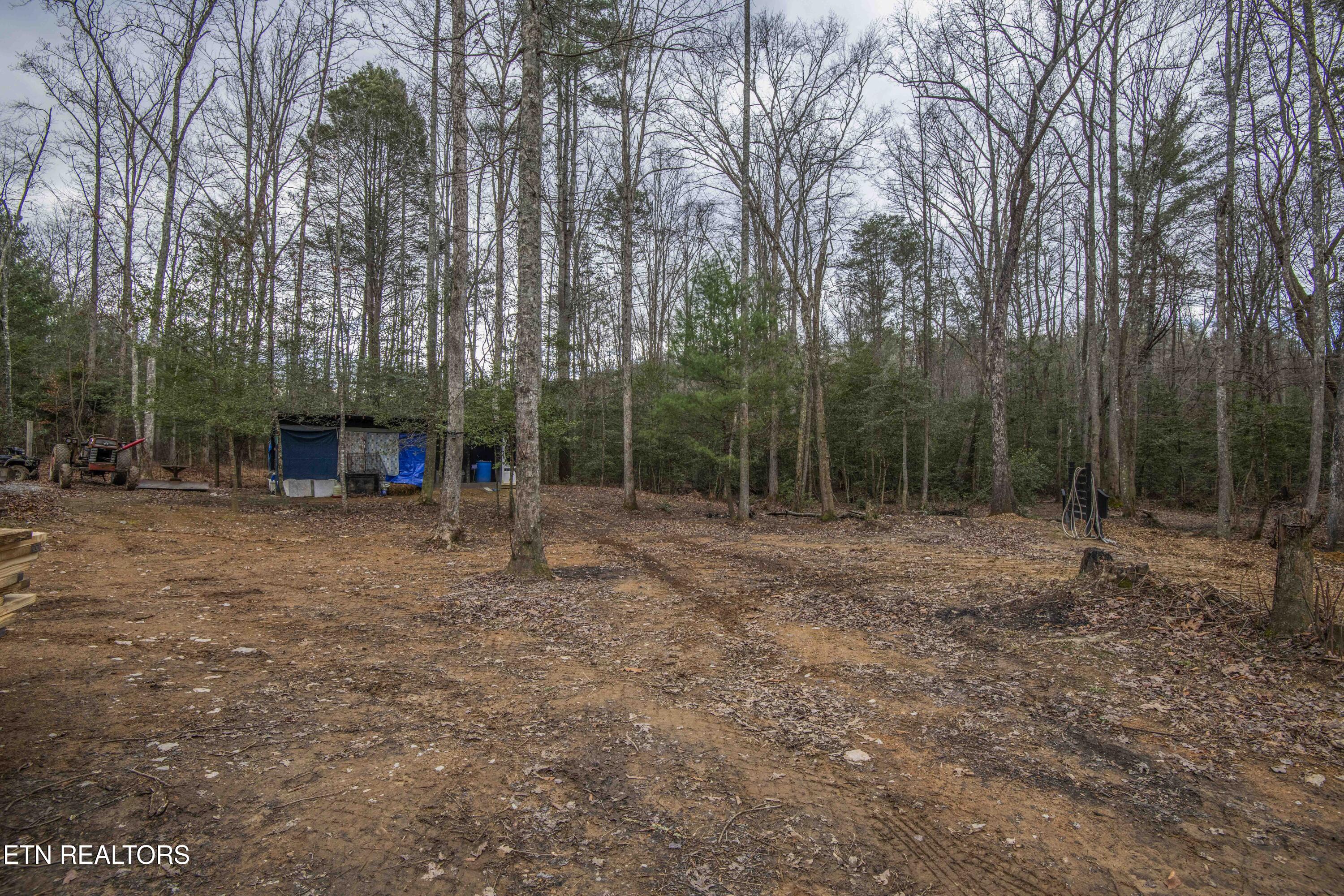 247 Copperhead Road Oakdale TN 37829