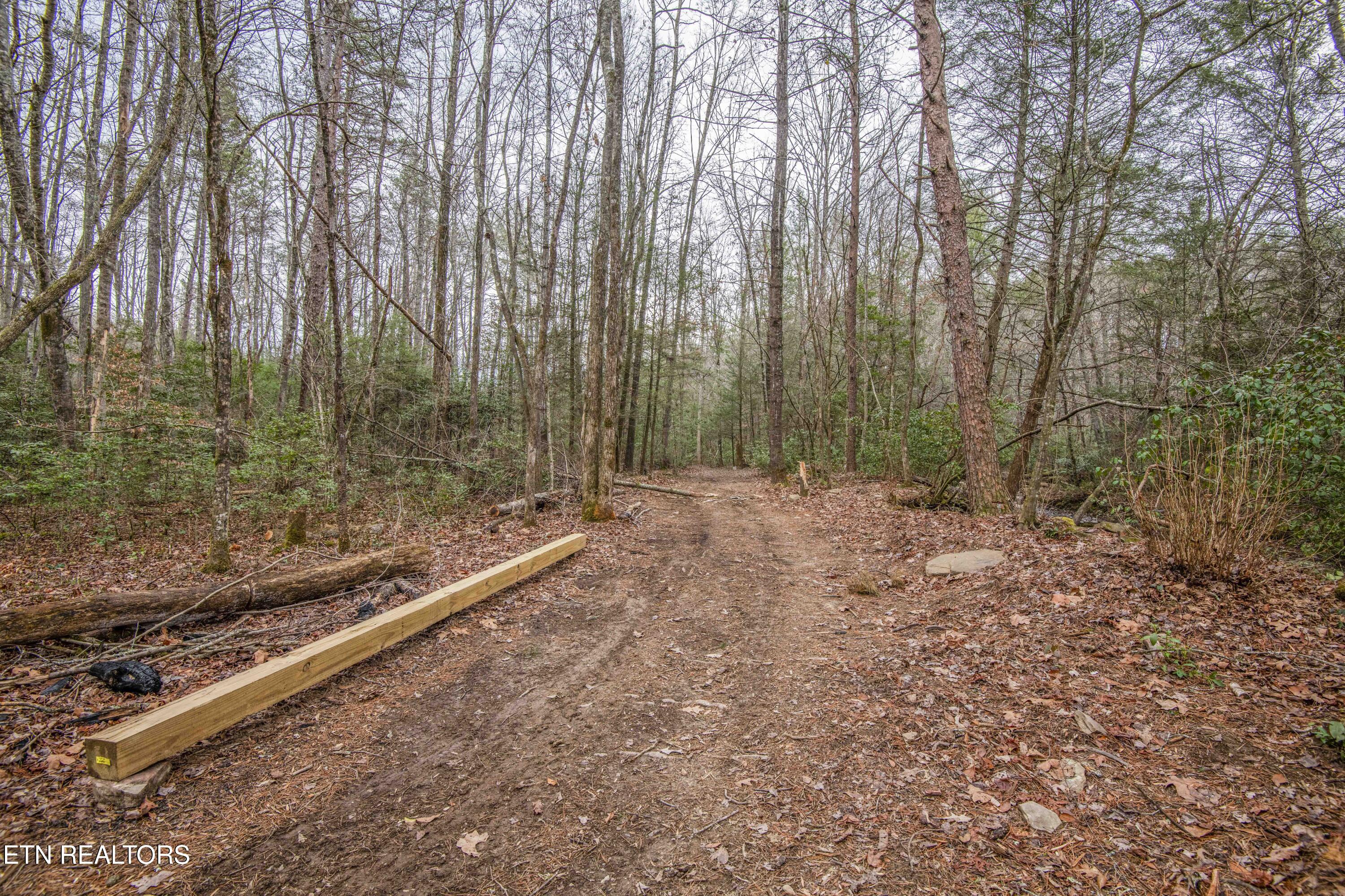 247 Copperhead Road Oakdale TN 37829