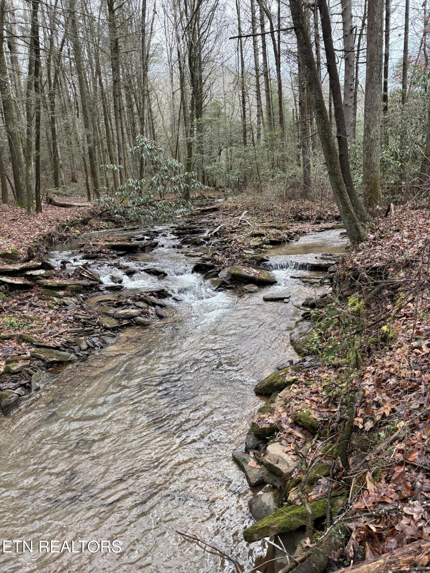 247 Copperhead Road Oakdale TN 37829