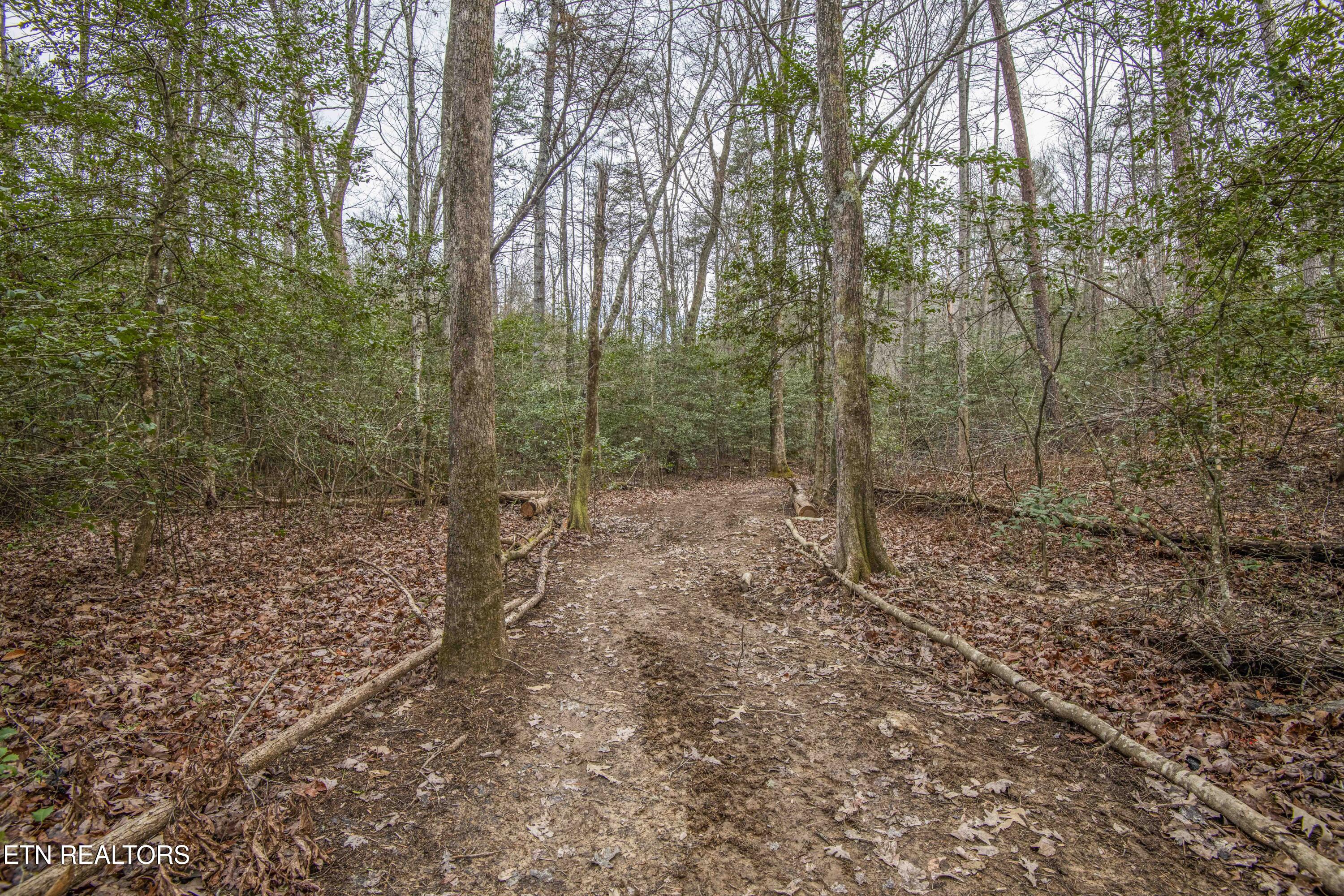 247 Copperhead Road Oakdale TN 37829