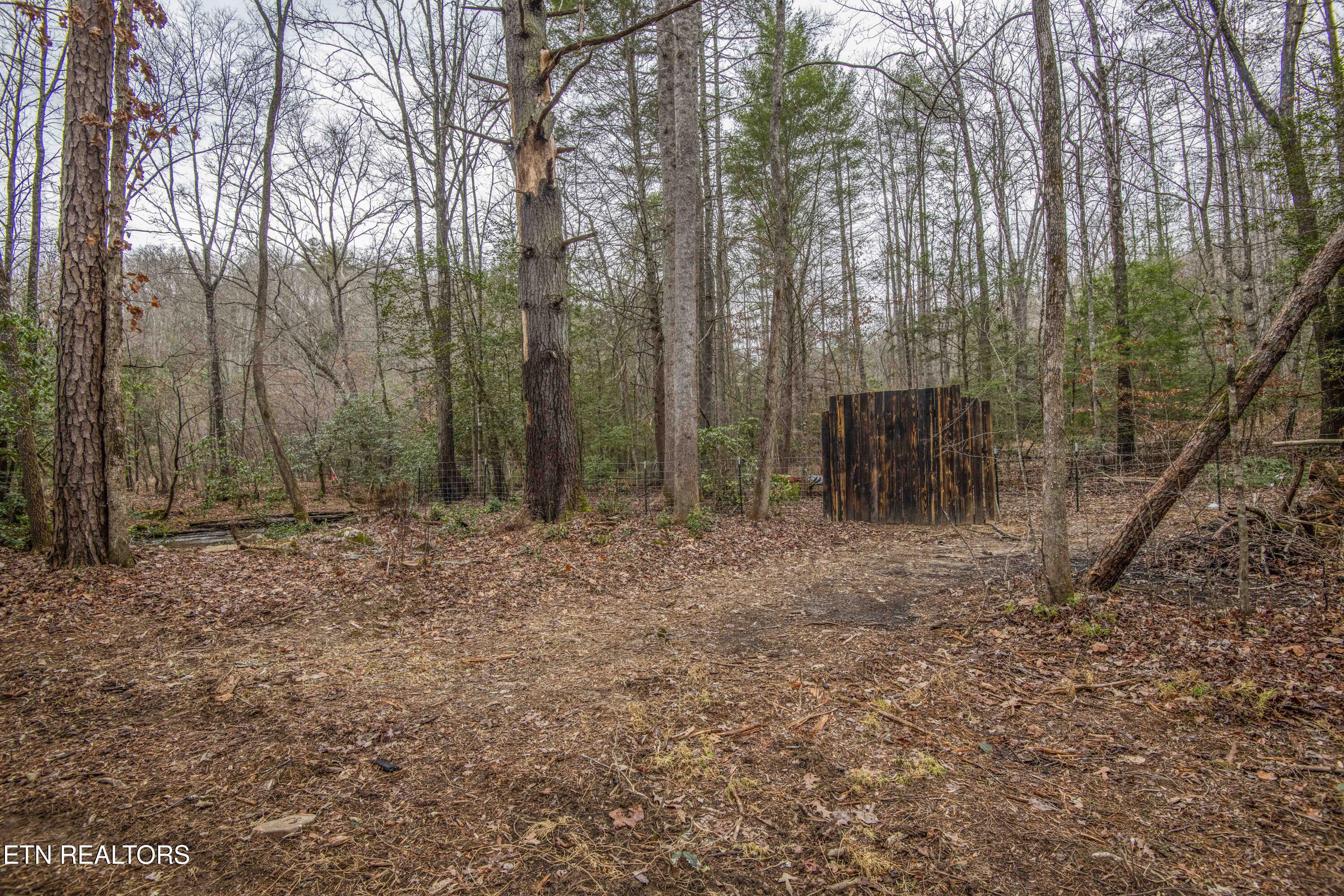 247 Copperhead Road Oakdale TN 37829