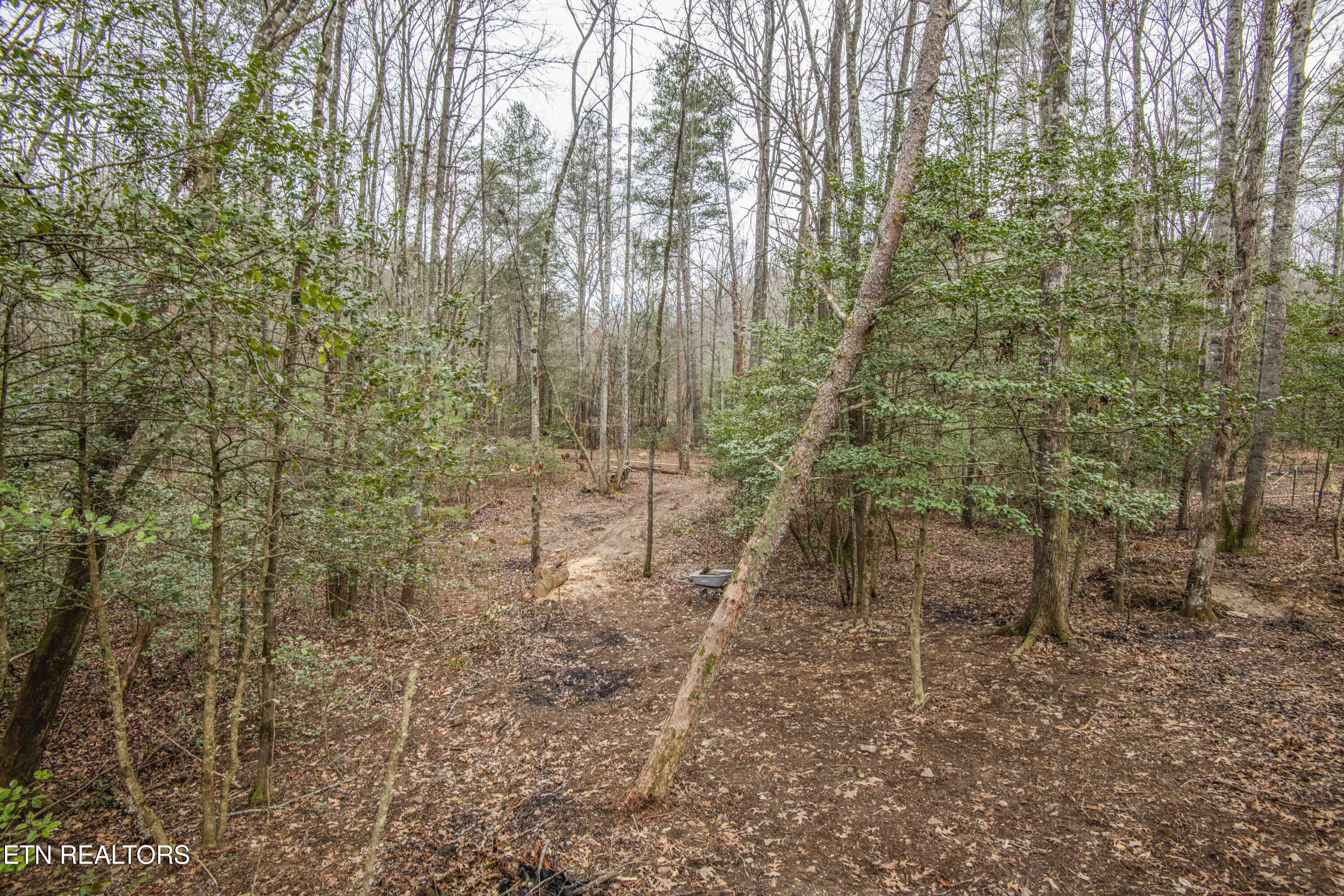 247 Copperhead Road Oakdale TN 37829