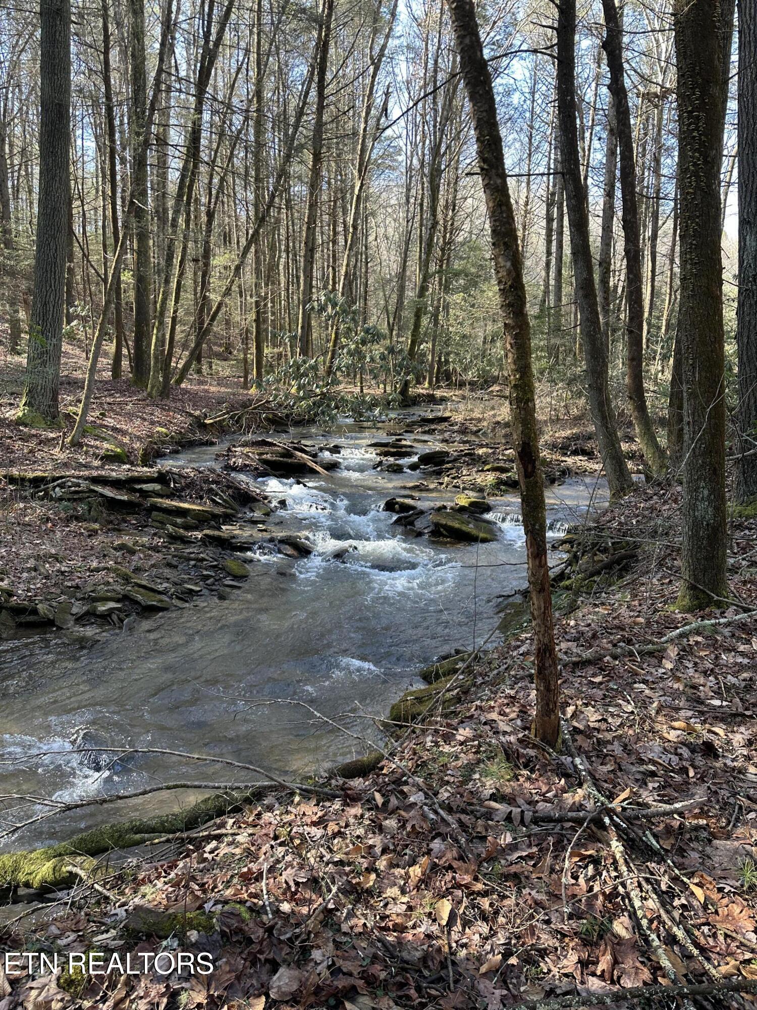 247 Copperhead Road Oakdale TN 37829