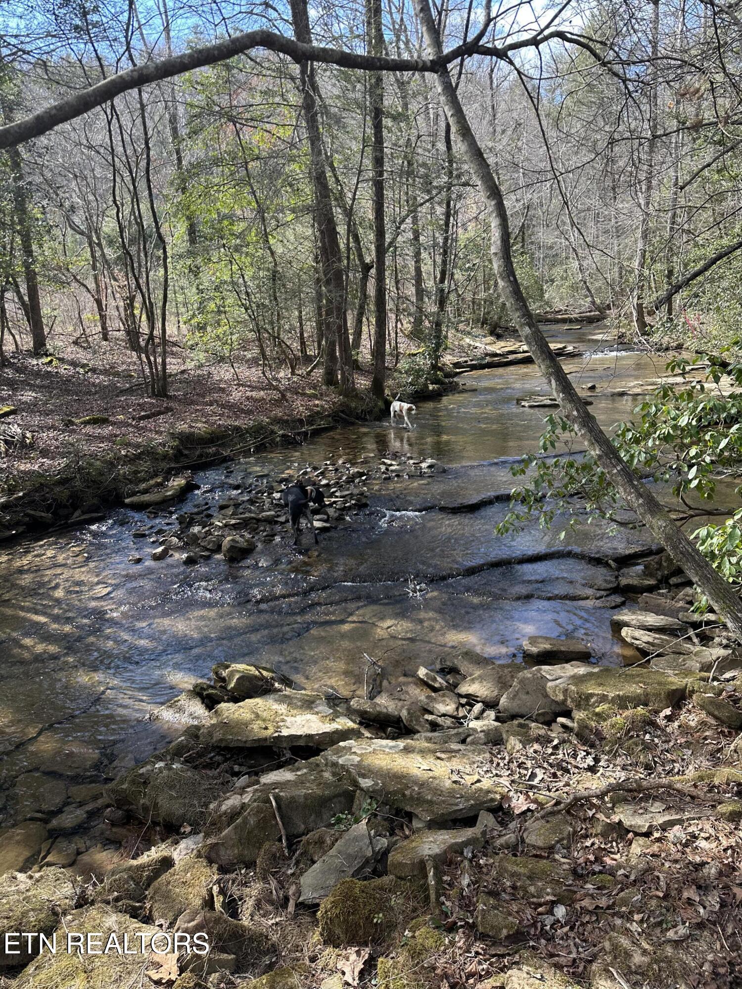 247 Copperhead Road Oakdale TN 37829