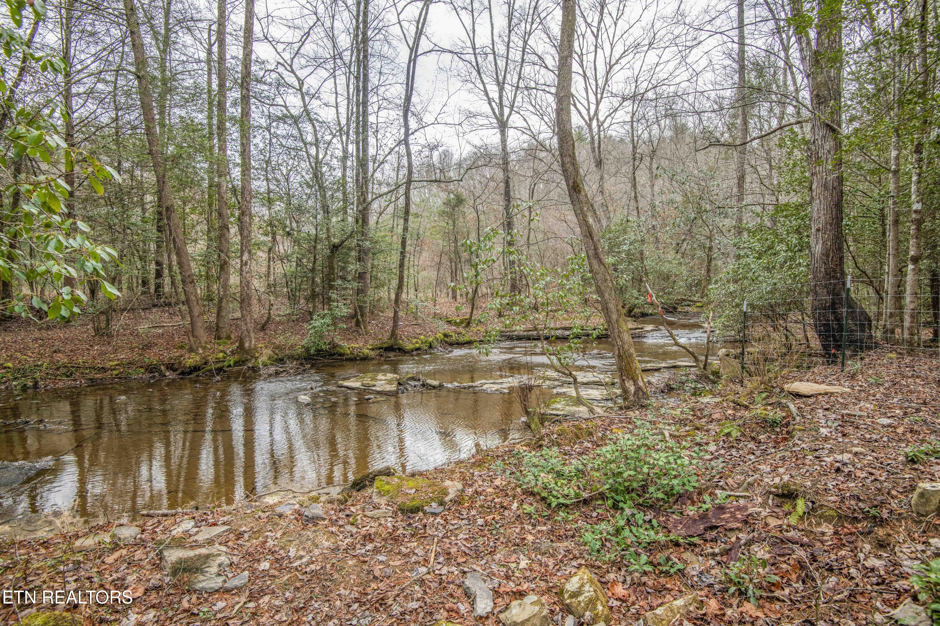 247 Copperhead Road Oakdale TN 37829