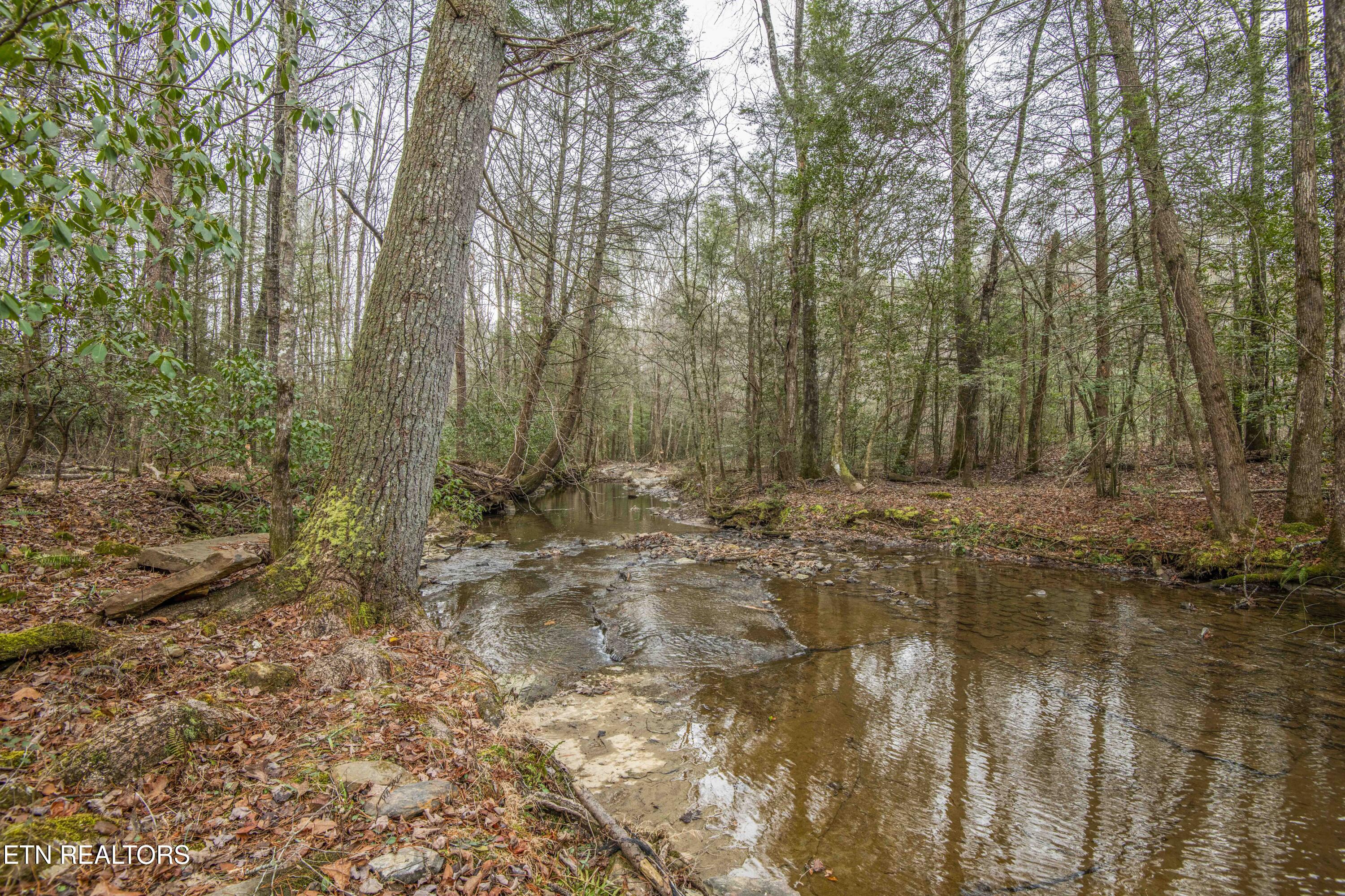 247 Copperhead Road Oakdale TN 37829