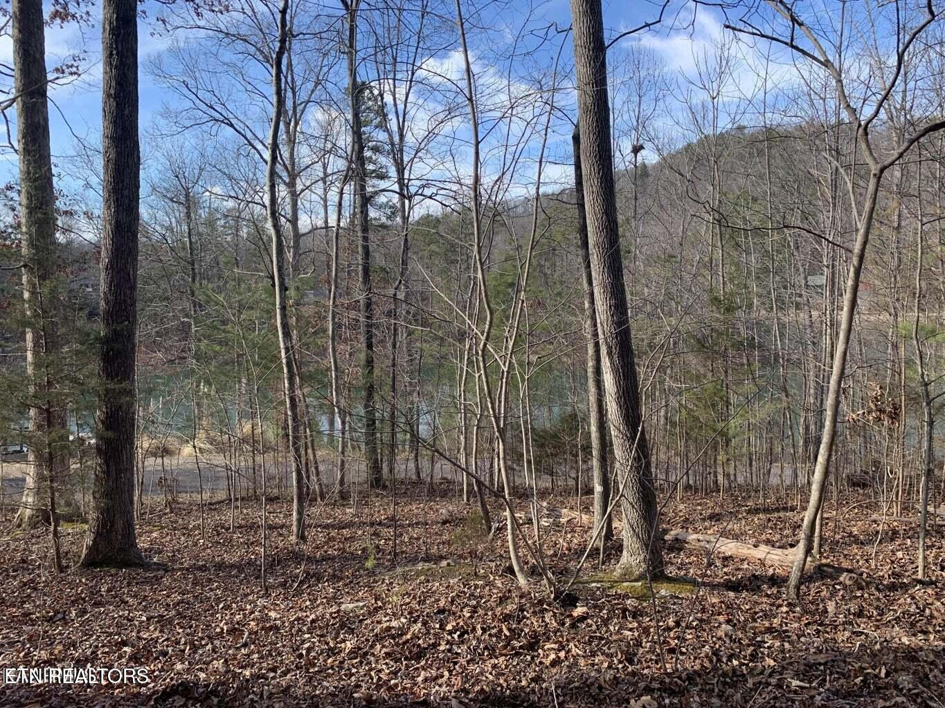 Lot 170 Laurel Lake Circle Madisonville TN 37354
