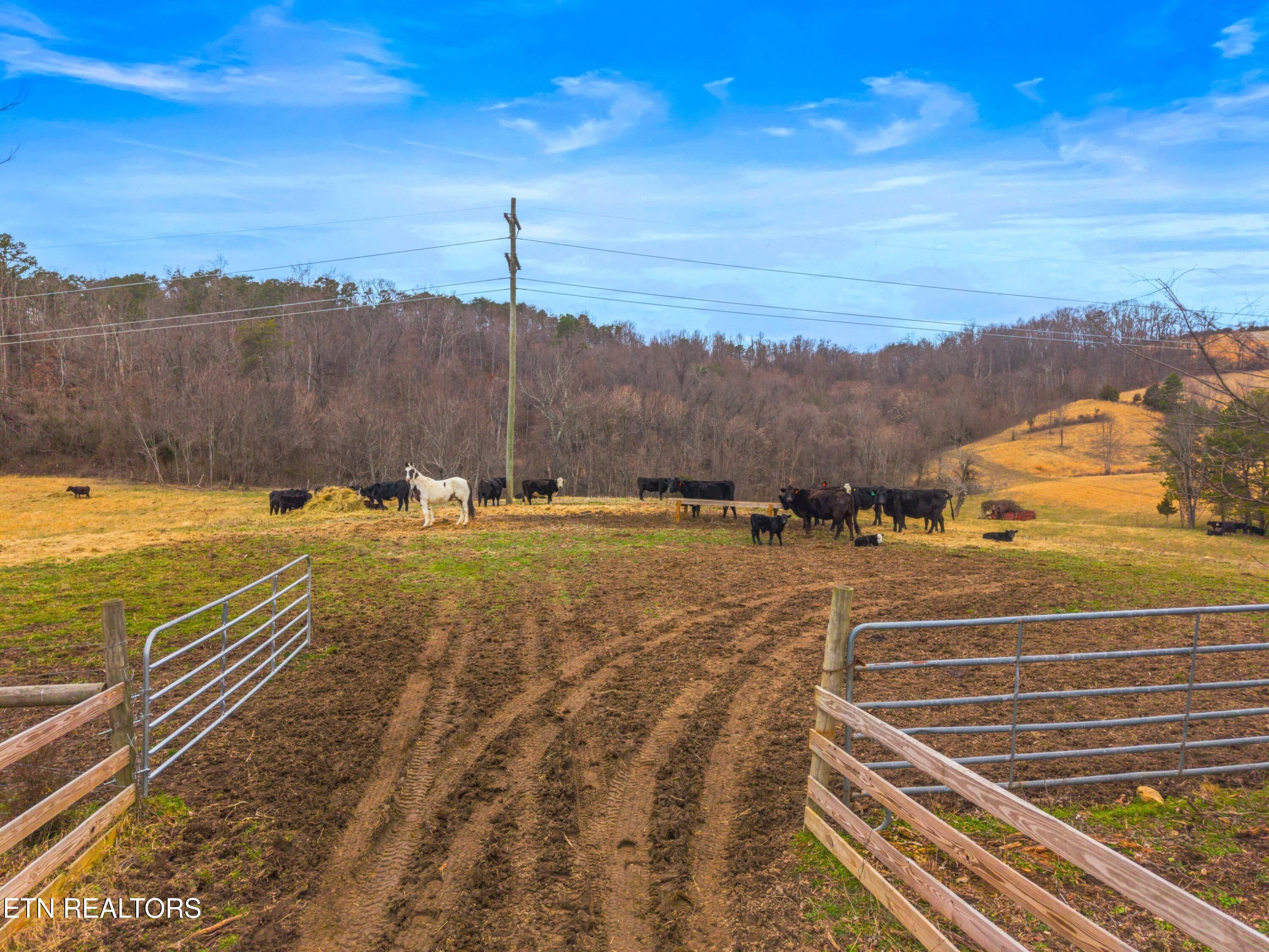 Tbd Grassy Valley Road Whitesburg TN 37891