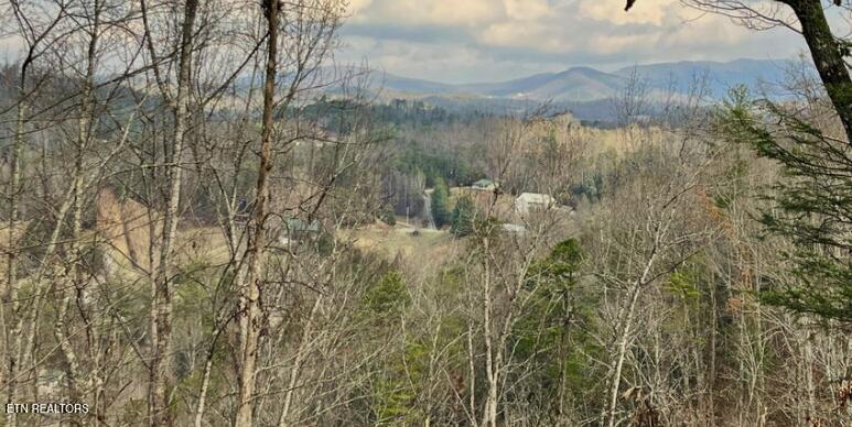Dollys Drive Sevierville TN 37868