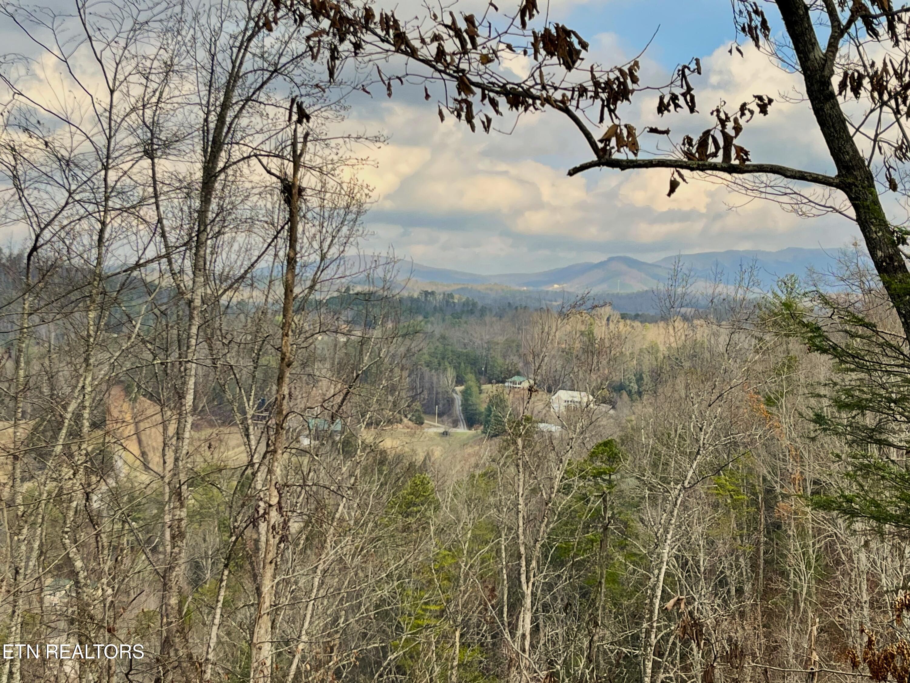 Dollys Drive Sevierville TN 37868