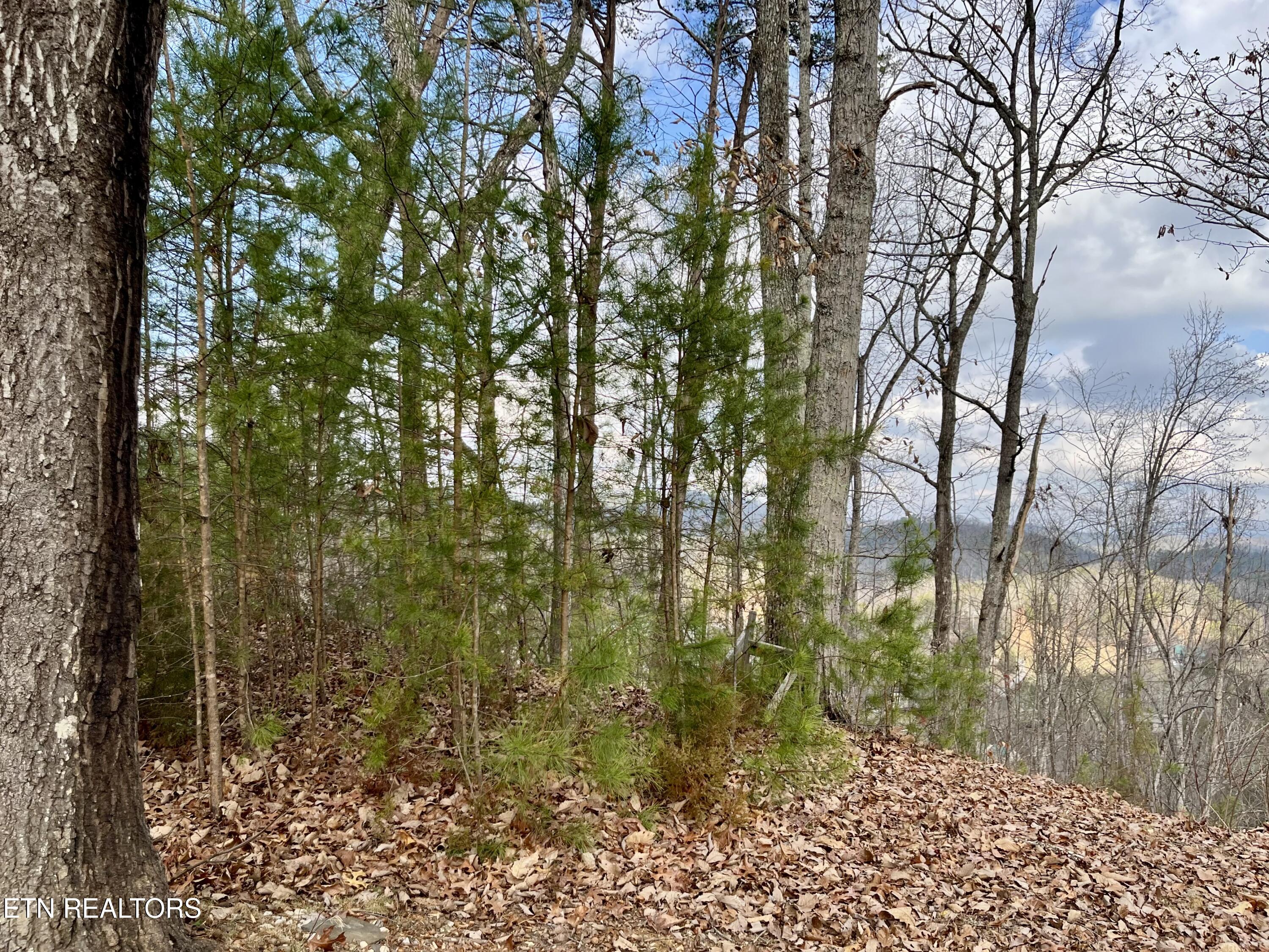 Dollys Drive Sevierville TN 37868