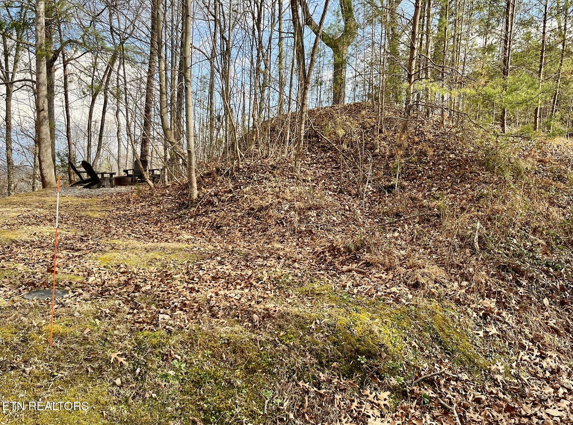 Dollys Drive Sevierville TN 37868