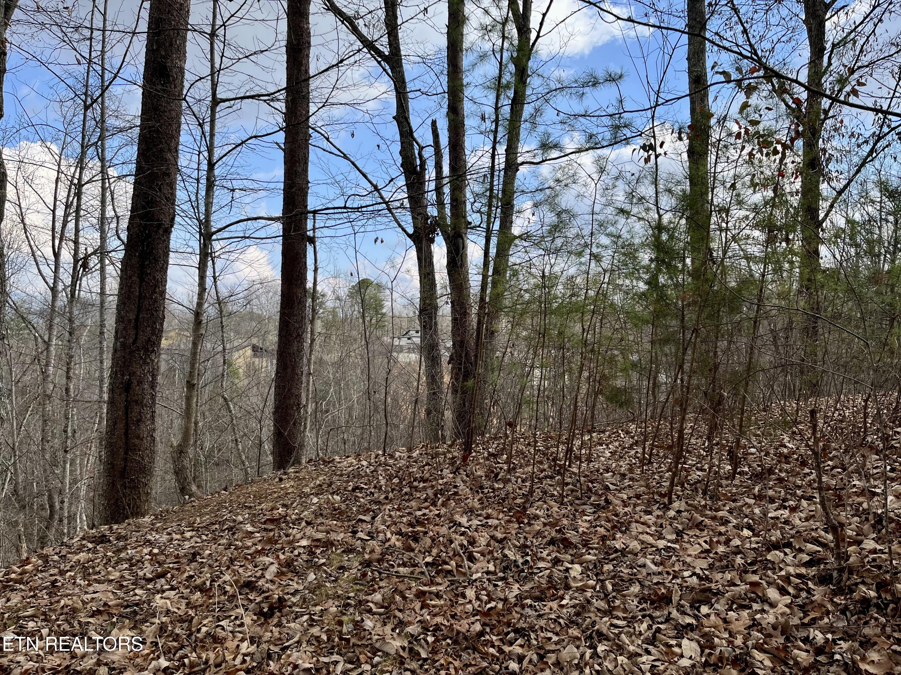 Dollys Drive Sevierville TN 37868