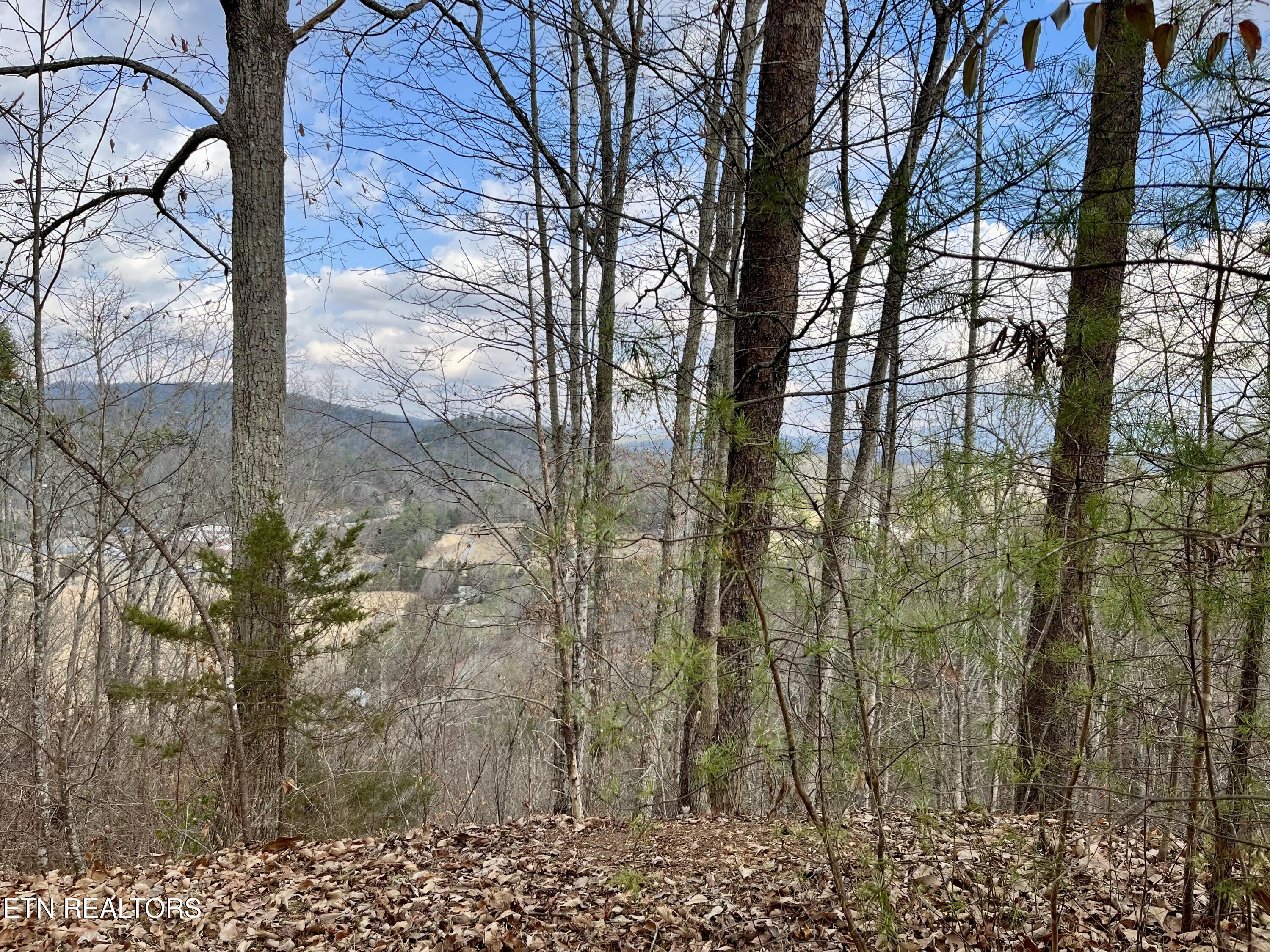 Dollys Drive Sevierville TN 37868