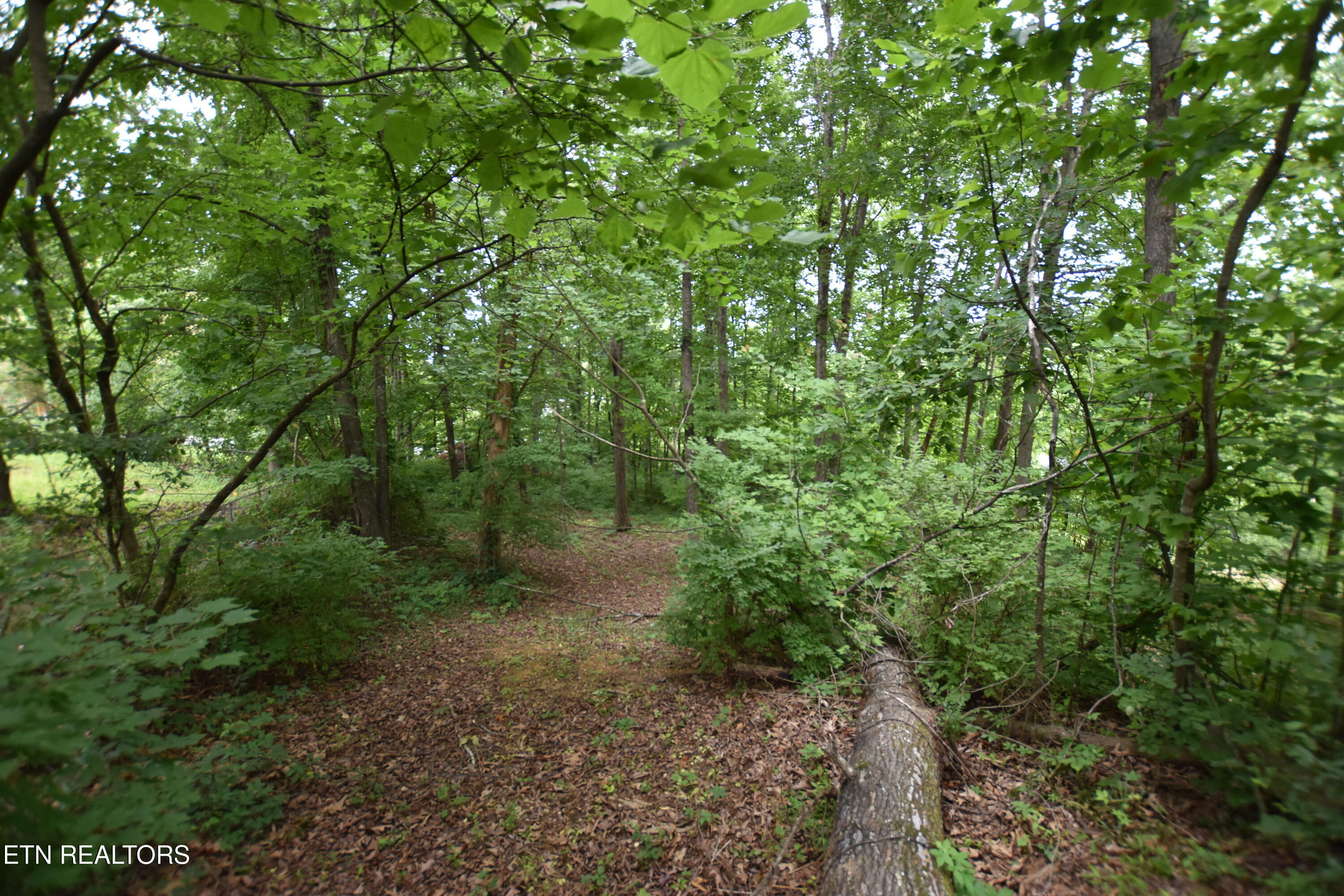 Grove Lane Clinton TN 37716