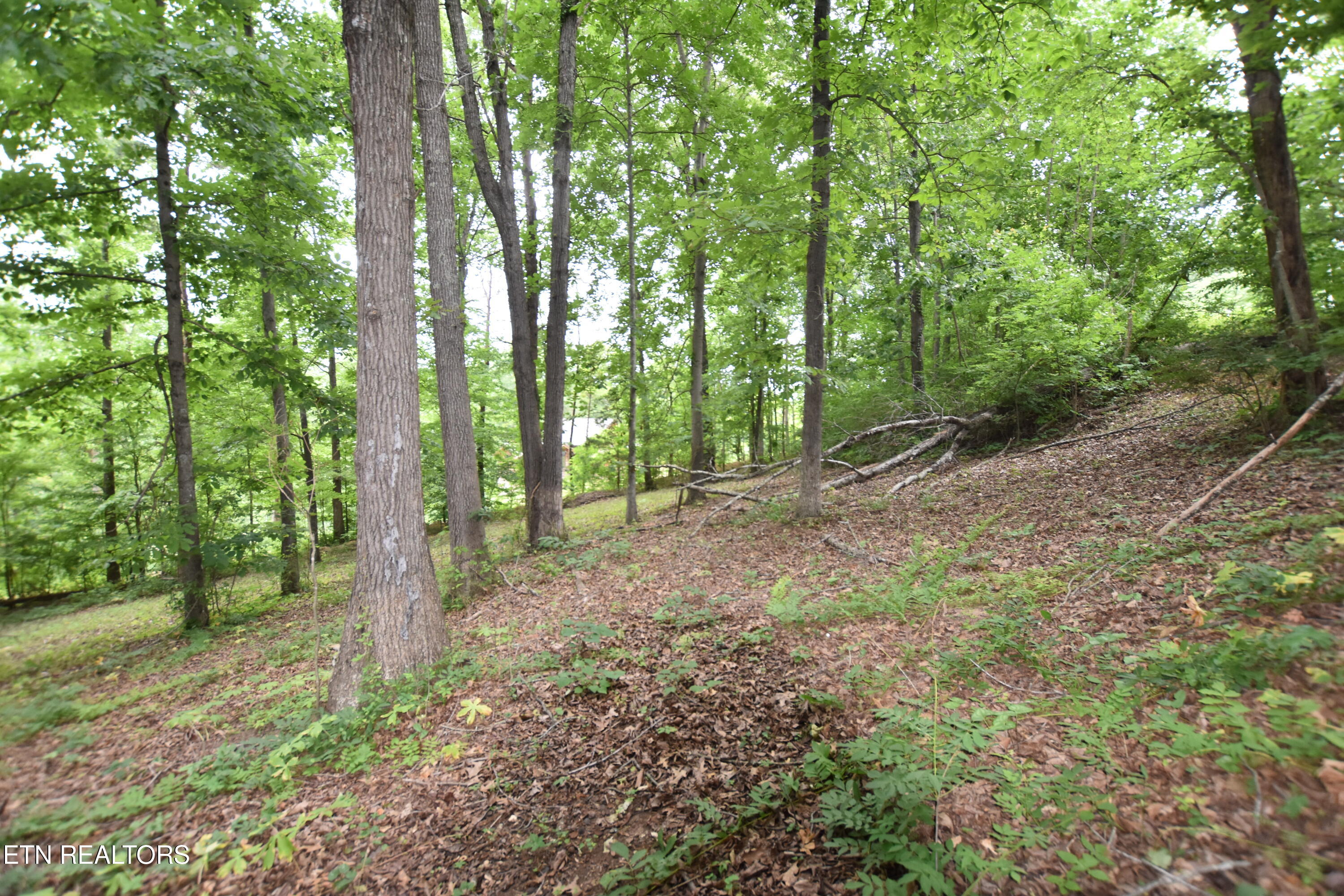 Grove Lane Clinton TN 37716