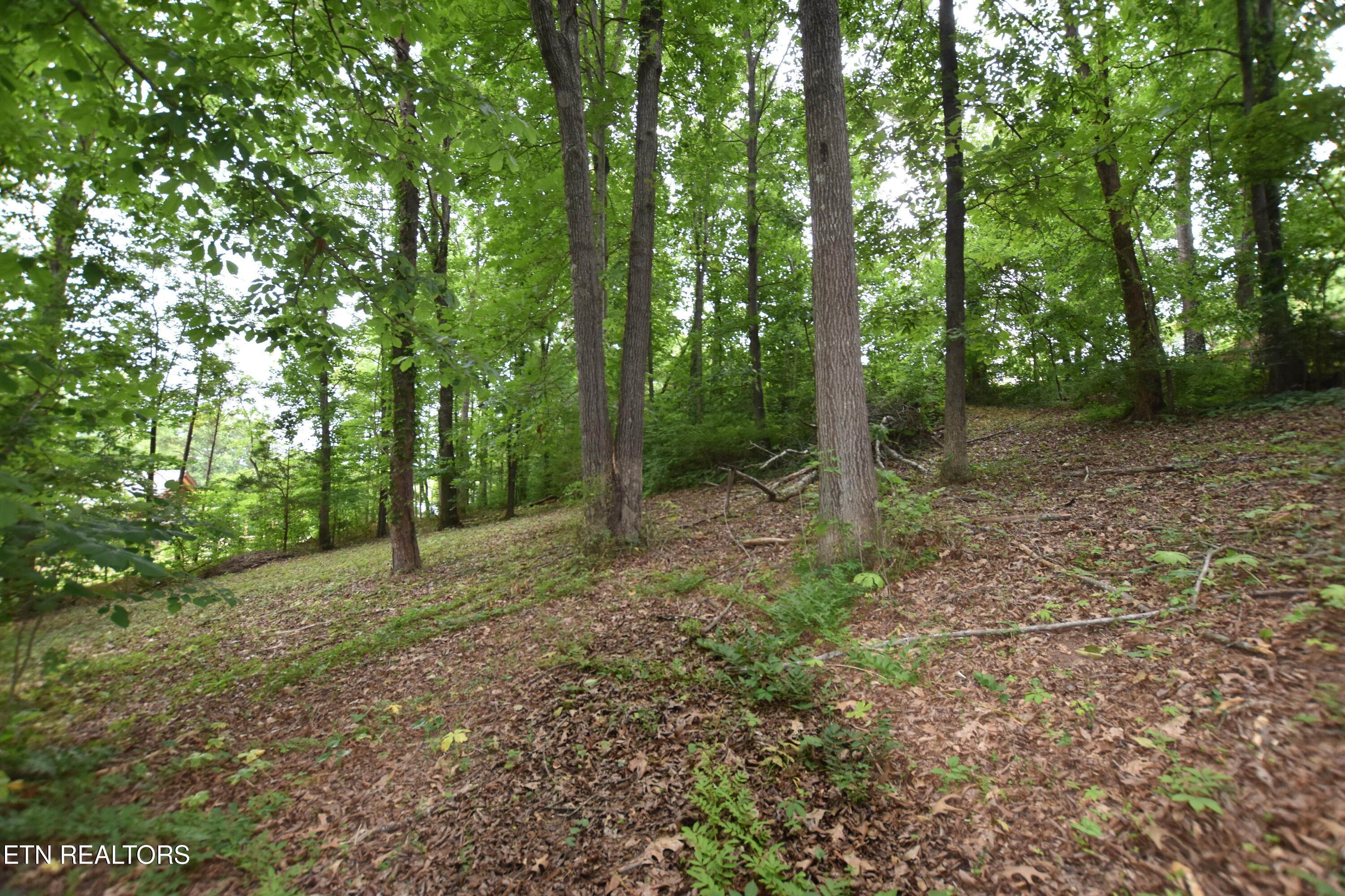 Grove Lane Clinton TN 37716