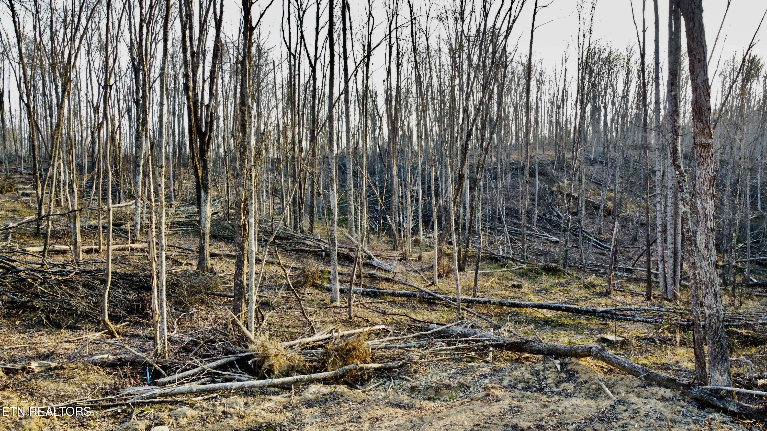 LOT#8 Mill Creek Road Sunbright TN 37872