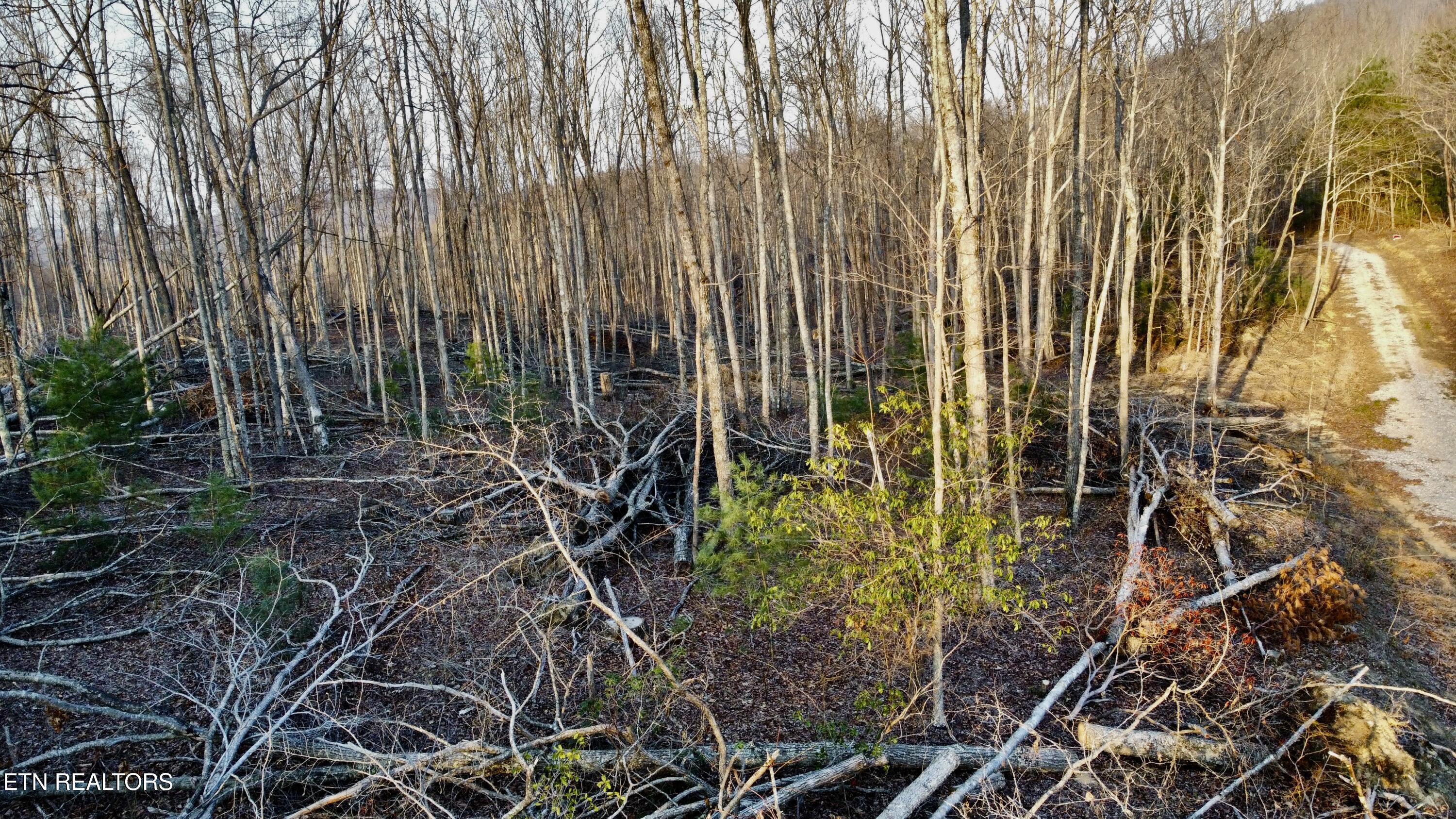 LOT#8 Mill Creek Road Sunbright TN 37872