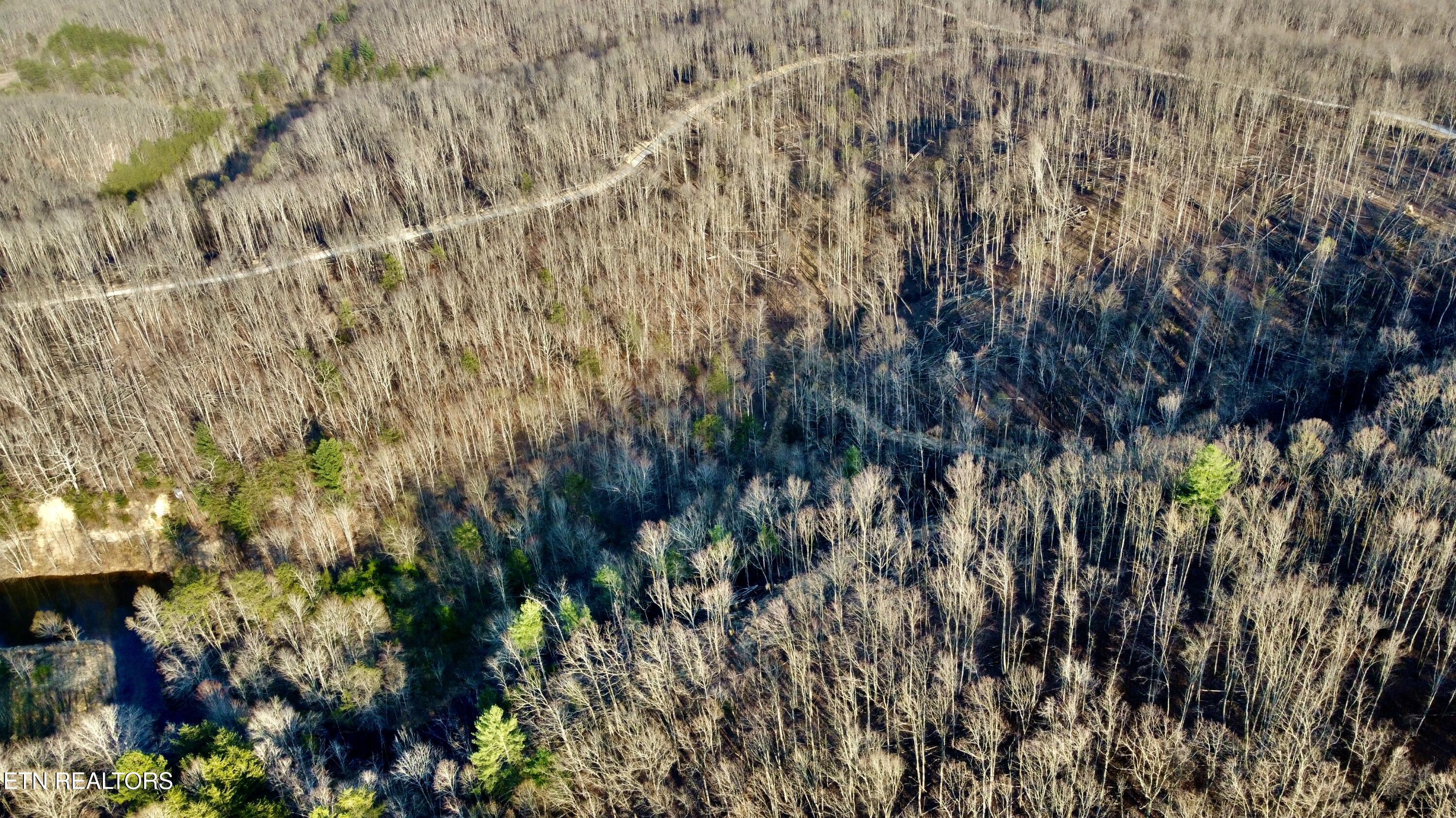 LOT#8 Mill Creek Road Sunbright TN 37872