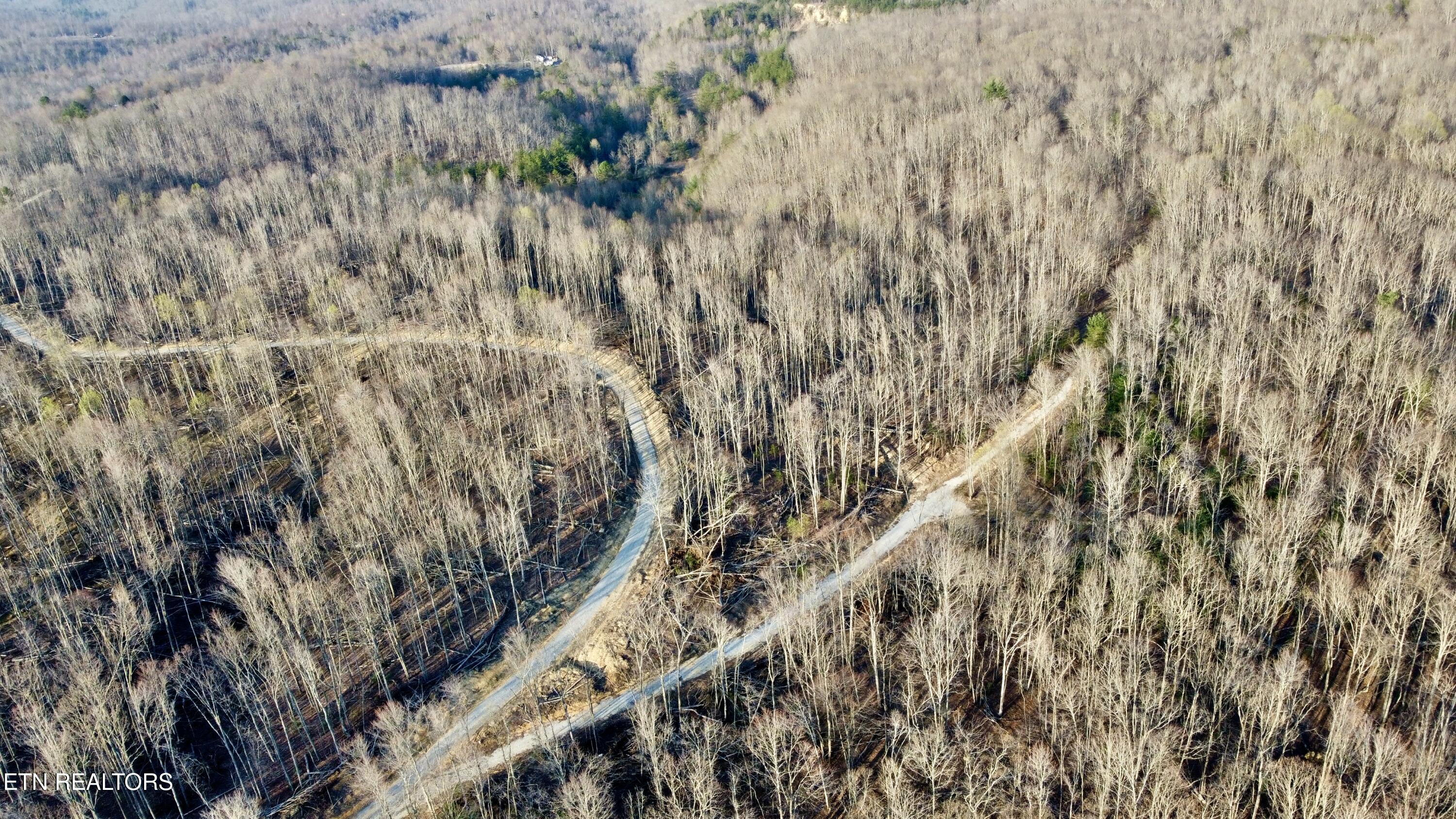 LOT#8 Mill Creek Road Sunbright TN 37872