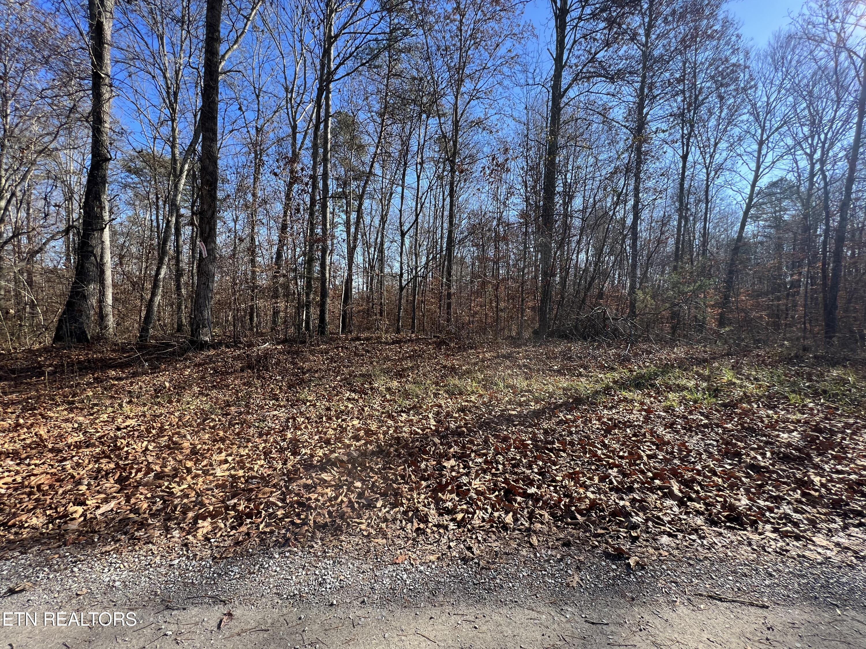 Lots 1&2 Jones Ridge Road Speedwell TN 37870
