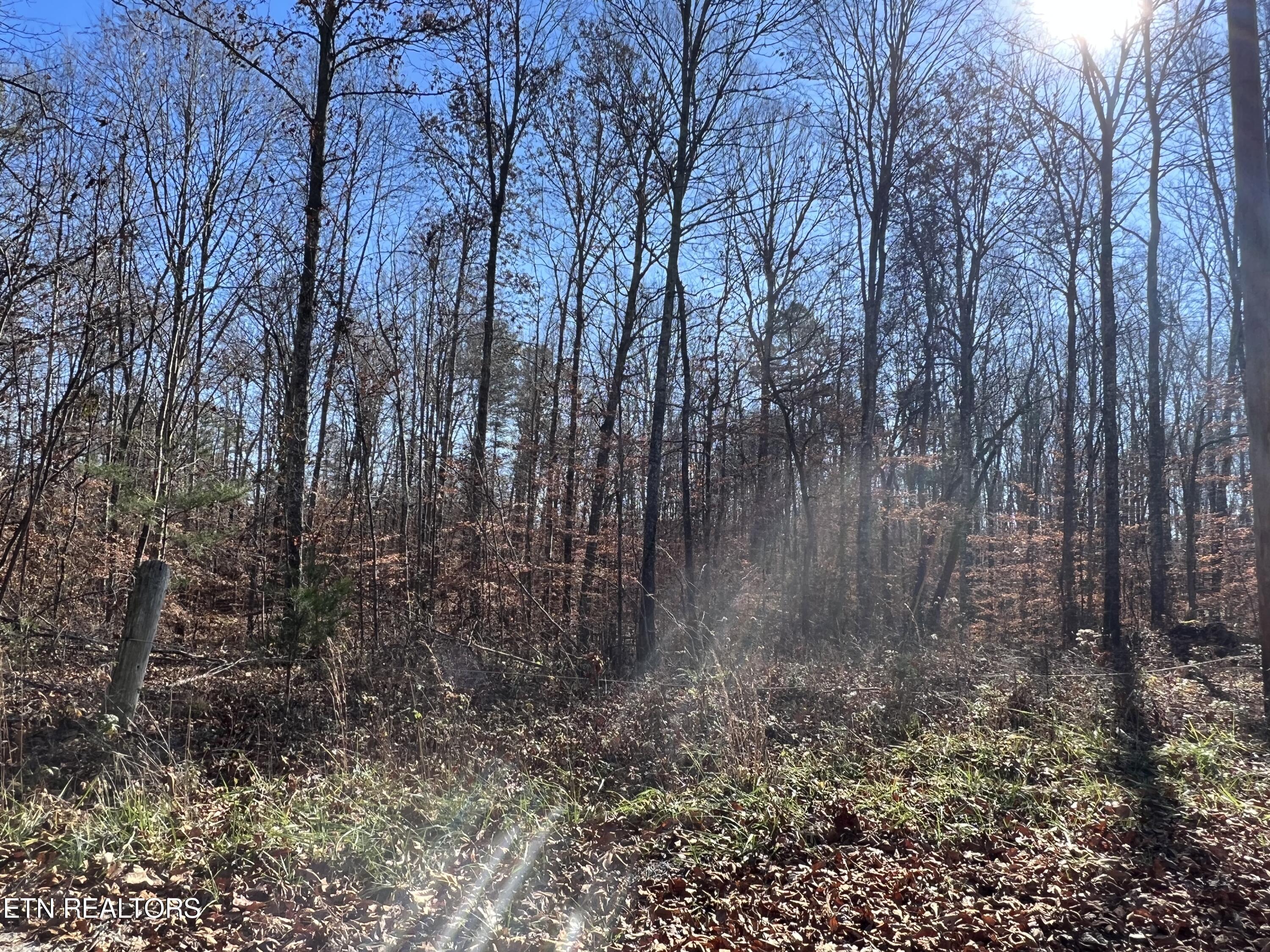 Lots 1&2 Jones Ridge Road Speedwell TN 37870