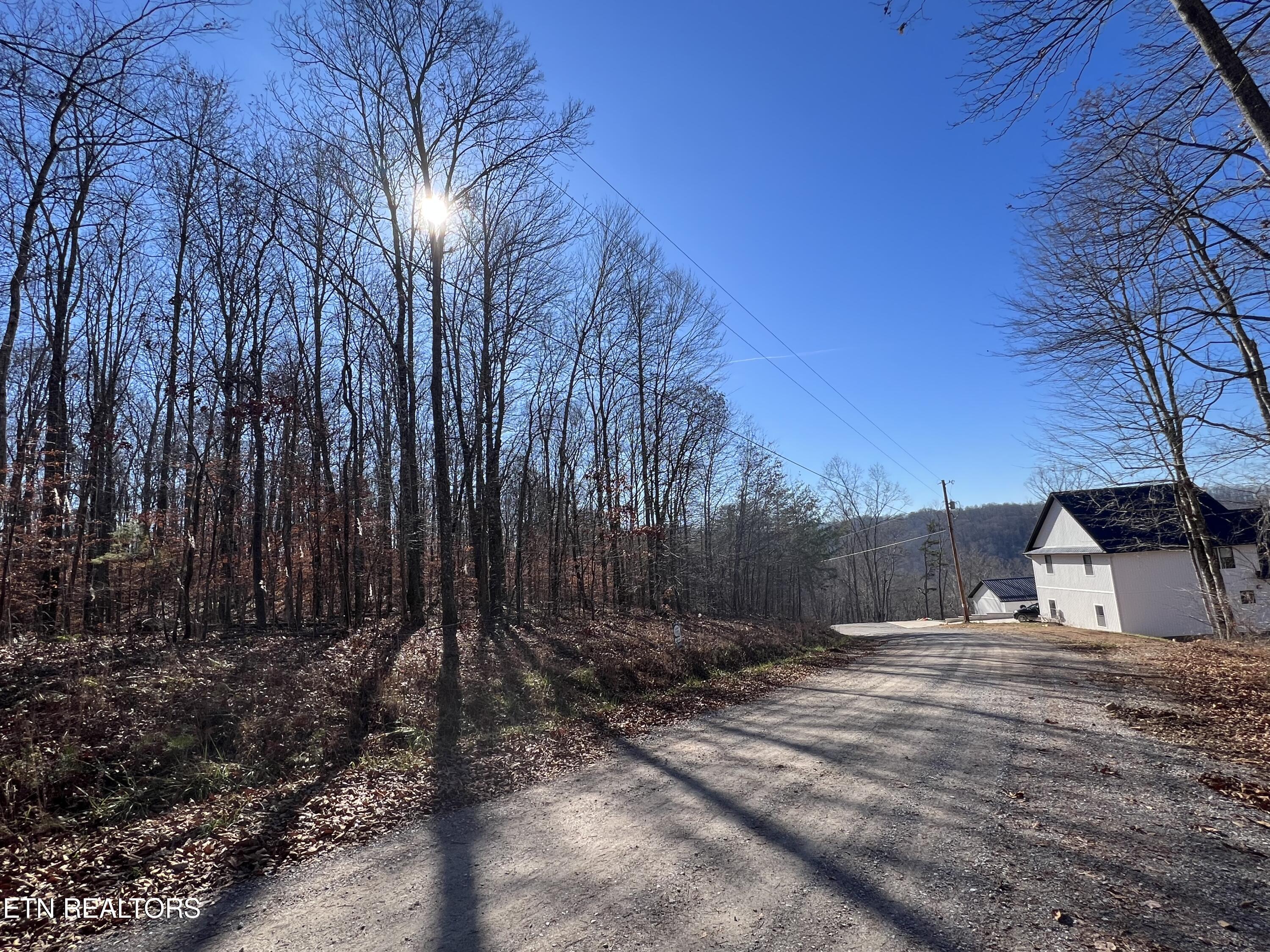 Lots 1&2 Jones Ridge Road Speedwell TN 37870