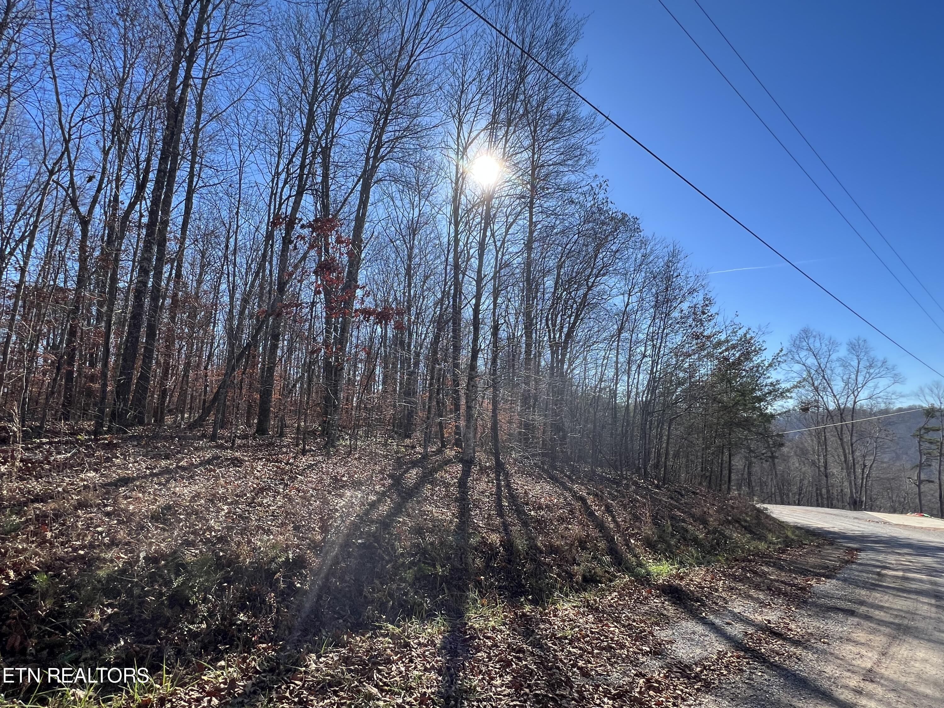 Lots 1&2 Jones Ridge Road Speedwell TN 37870