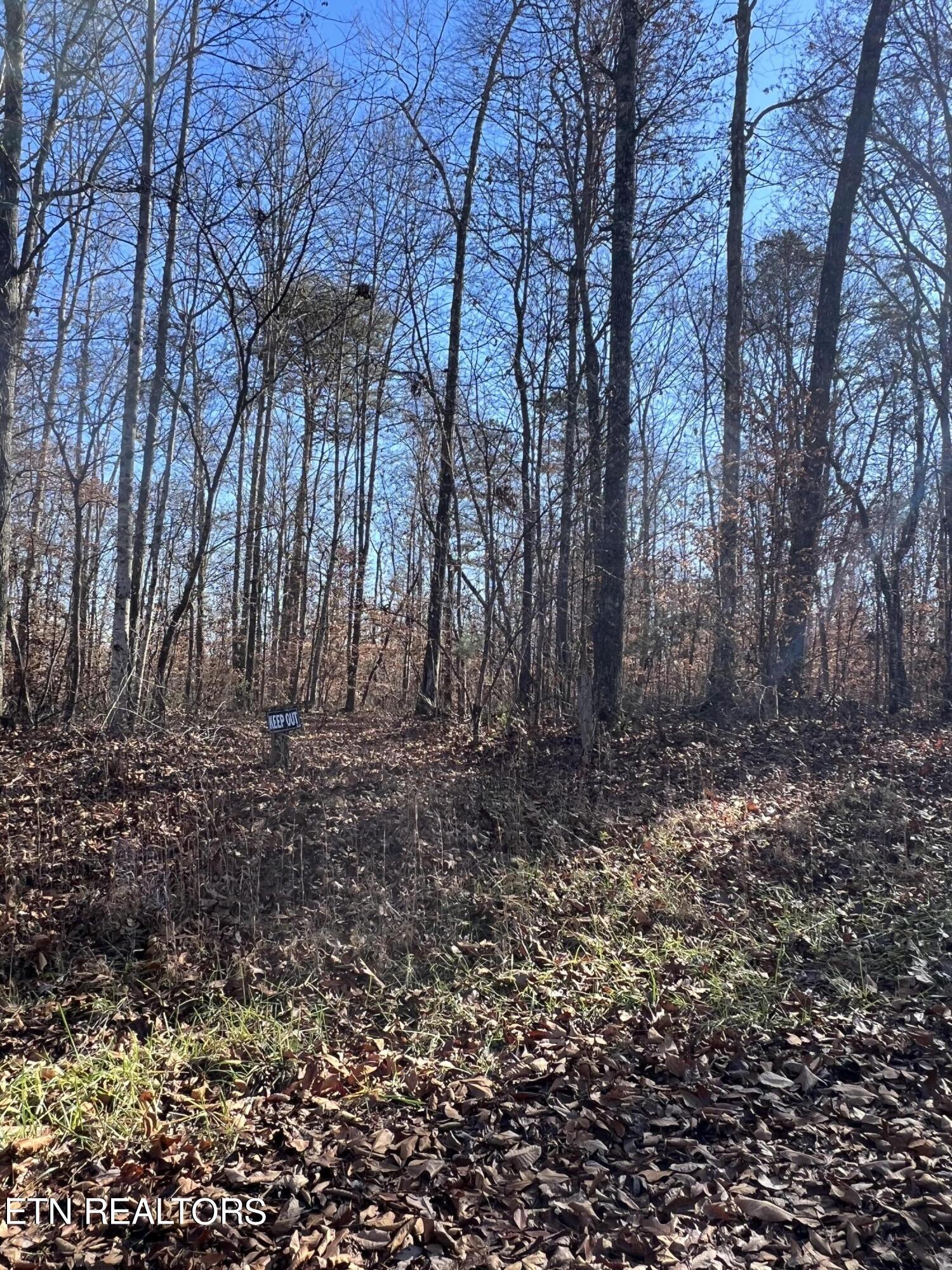 Lots 1&2 Jones Ridge Road Speedwell TN 37870