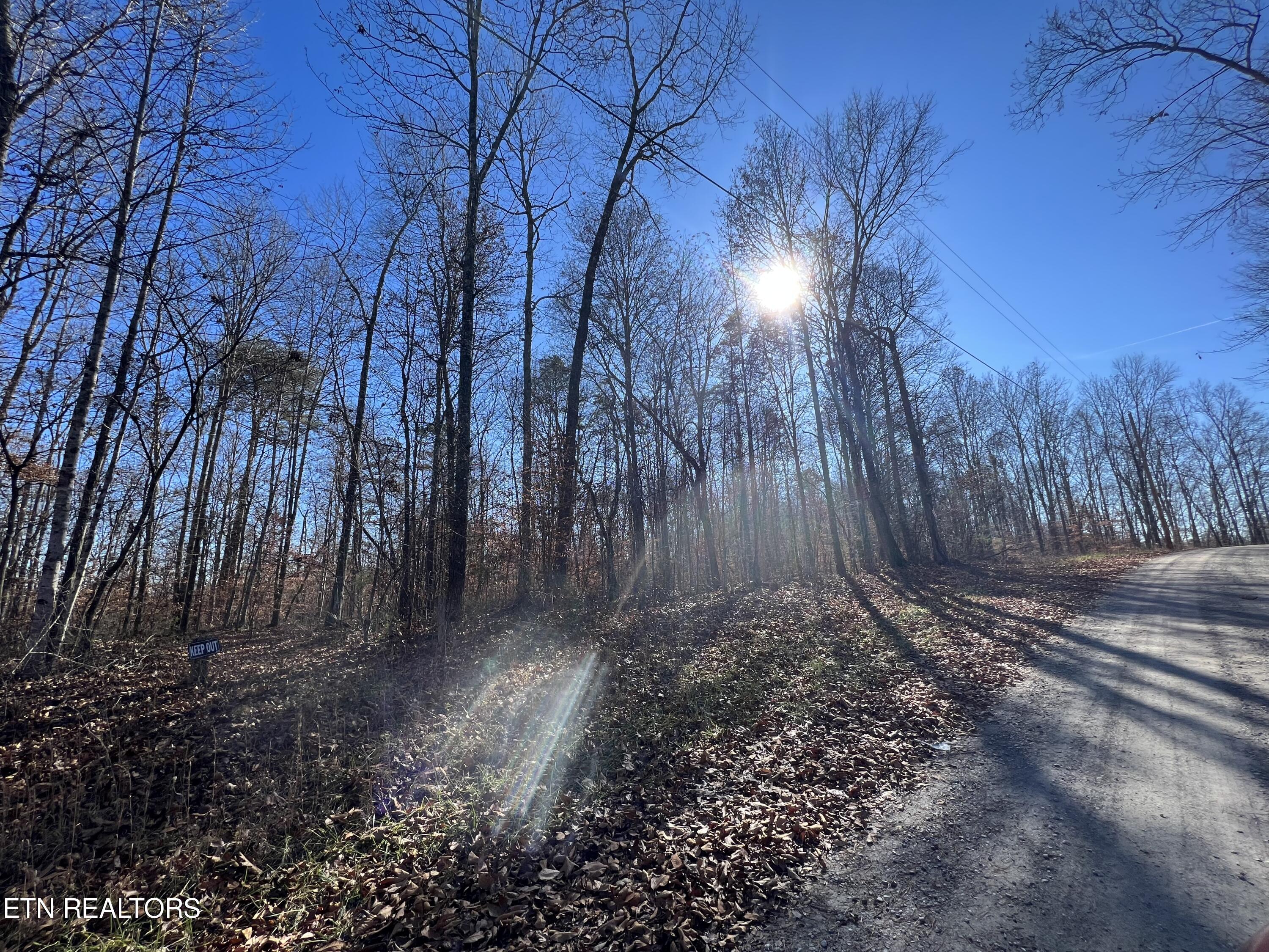 Lots 1&2 Jones Ridge Road Speedwell TN 37870