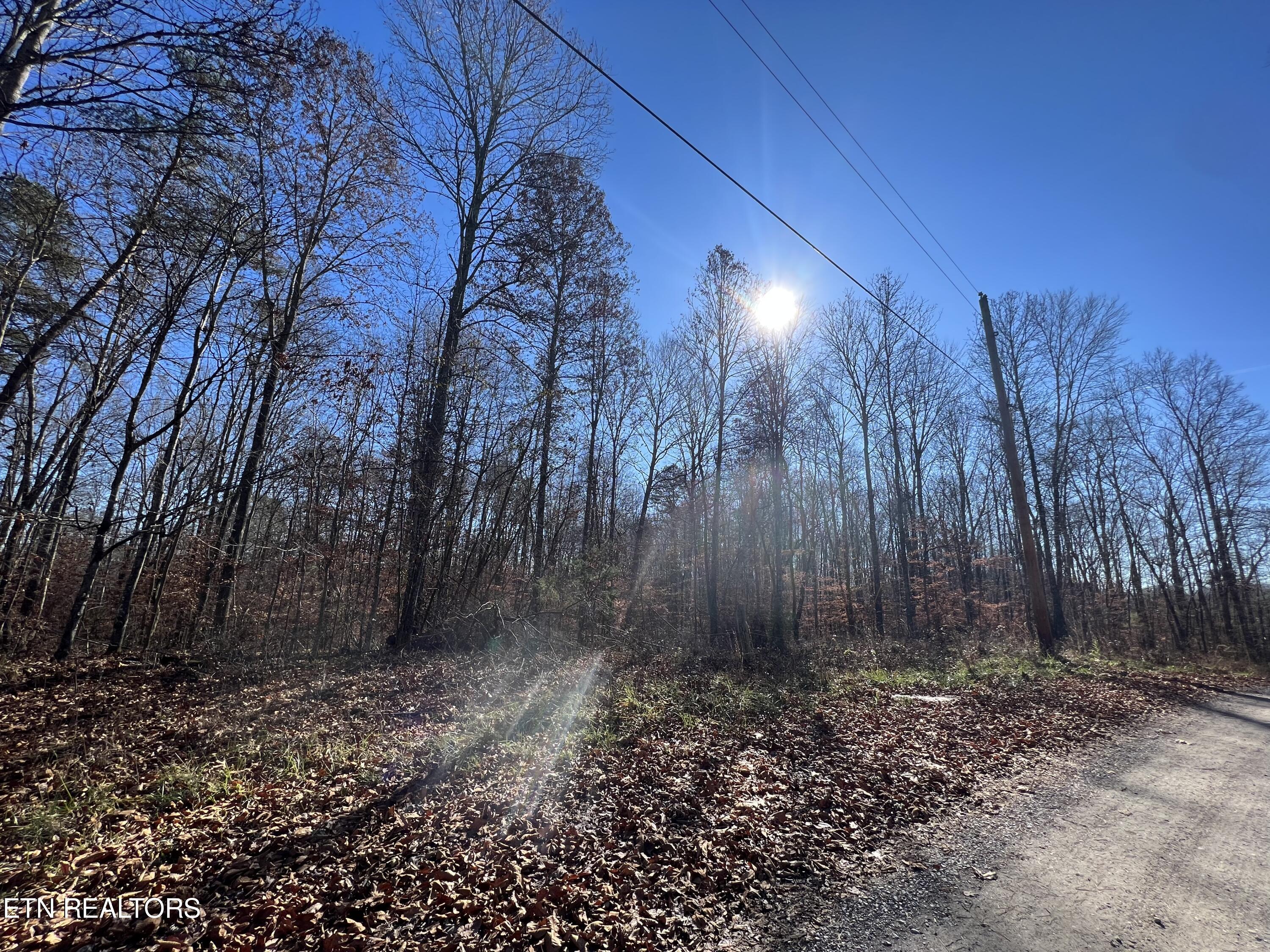 Lots 1&2 Jones Ridge Road Speedwell TN 37870