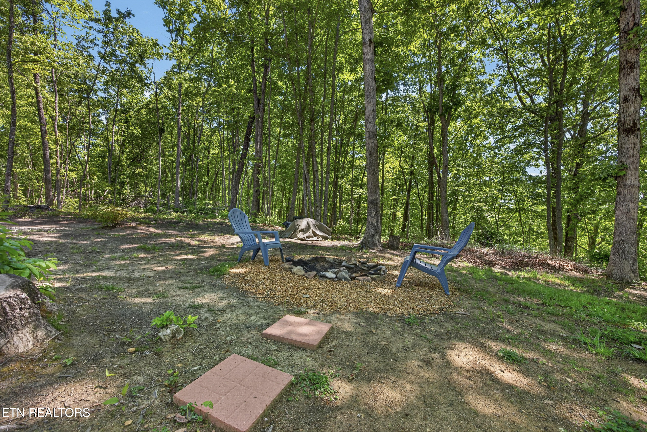55236 Maynard Ridge Crawford TN 38554