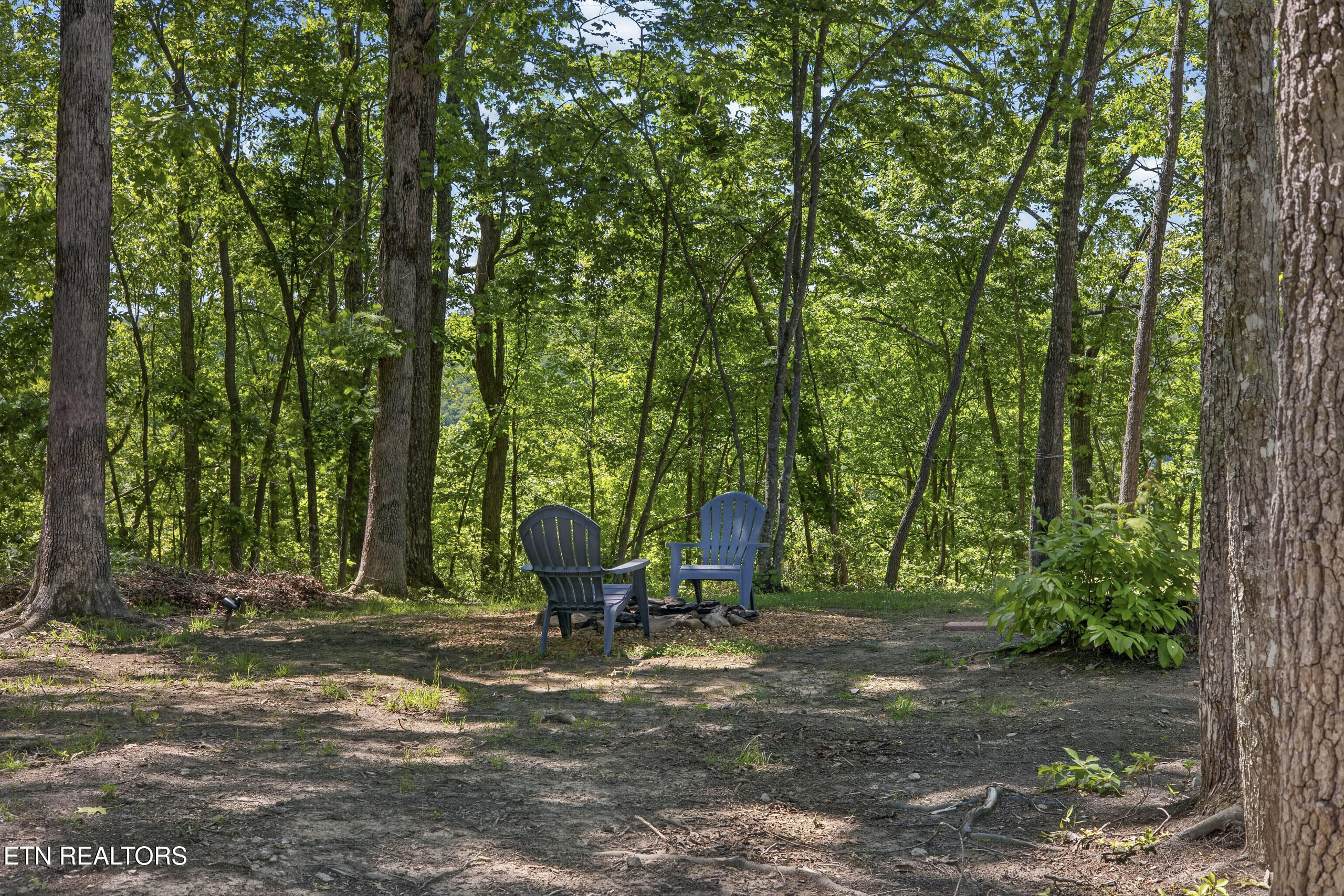 55236 Maynard Ridge Crawford TN 38554