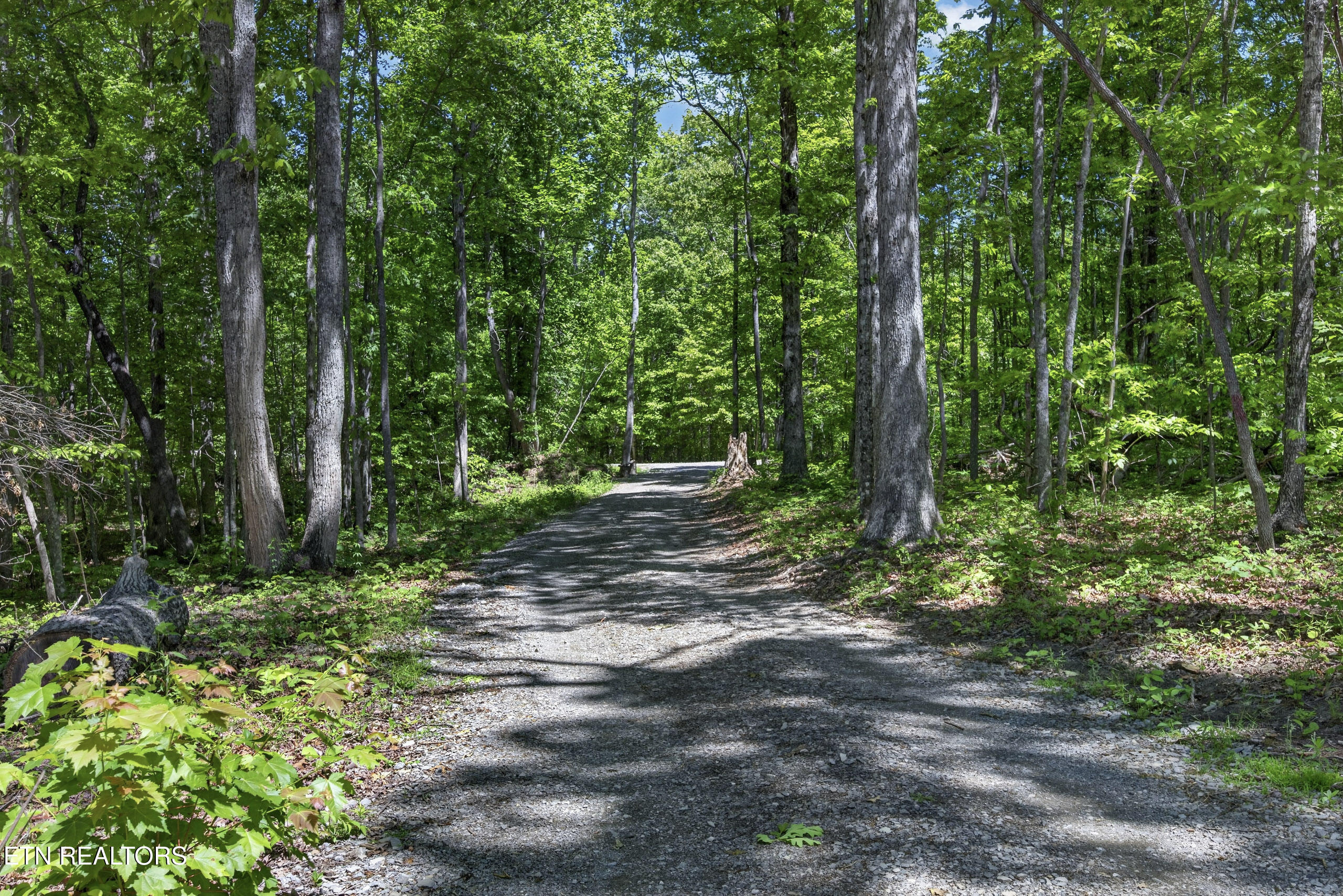 55236 Maynard Ridge Crawford TN 38554