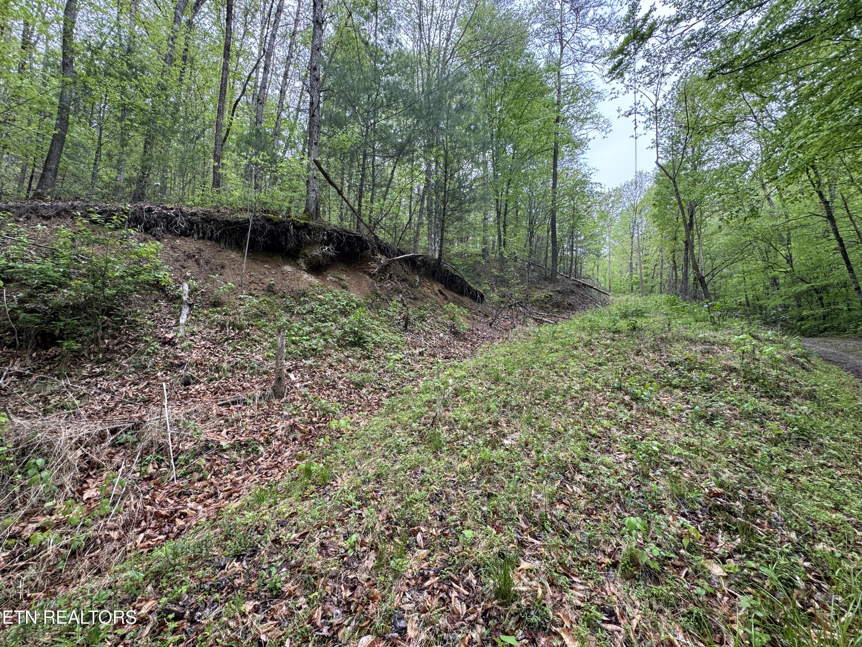 376 Summer House Hollow Road Del Rio TN 37727