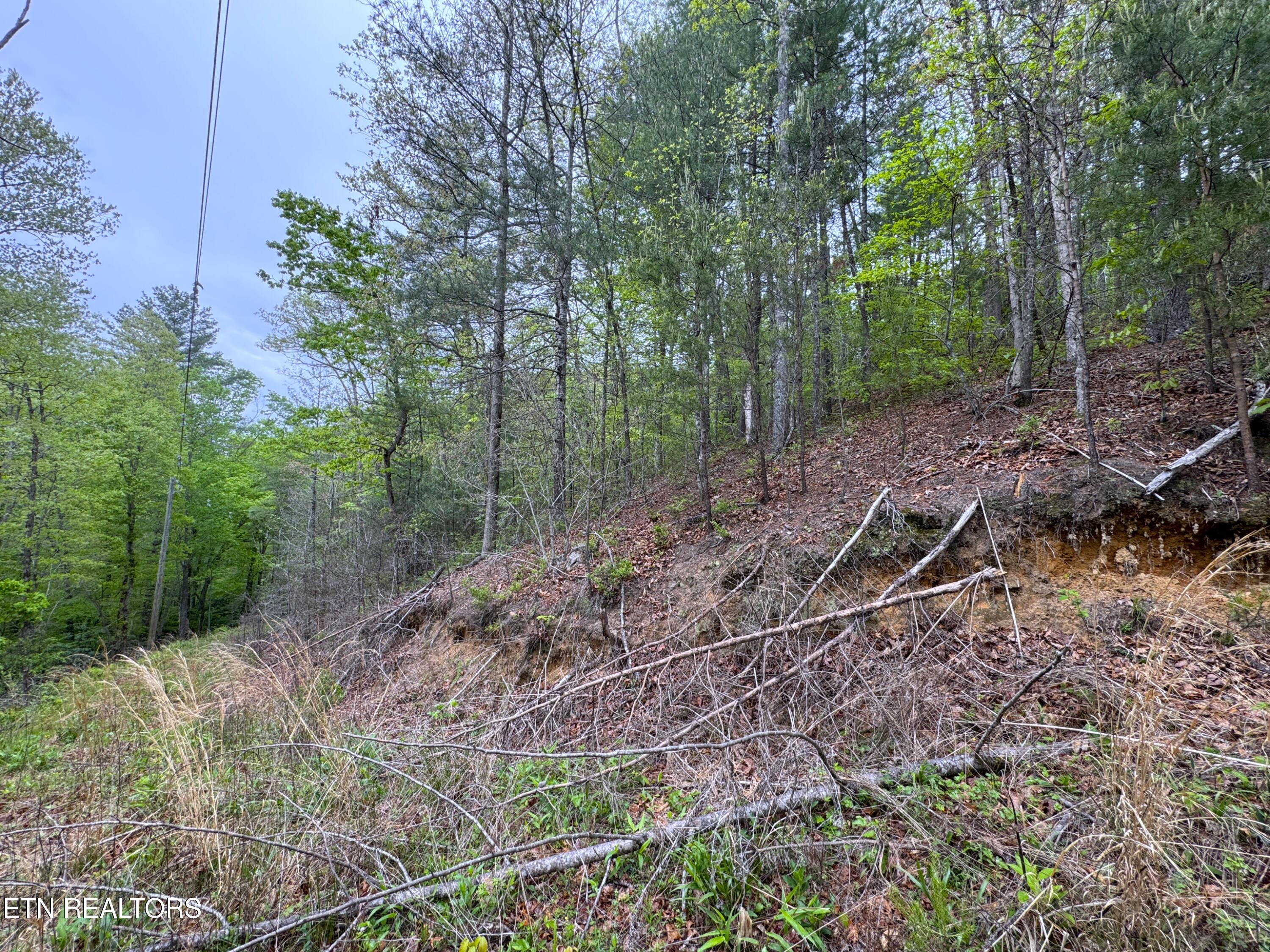 376 Summer House Hollow Road Del Rio TN 37727