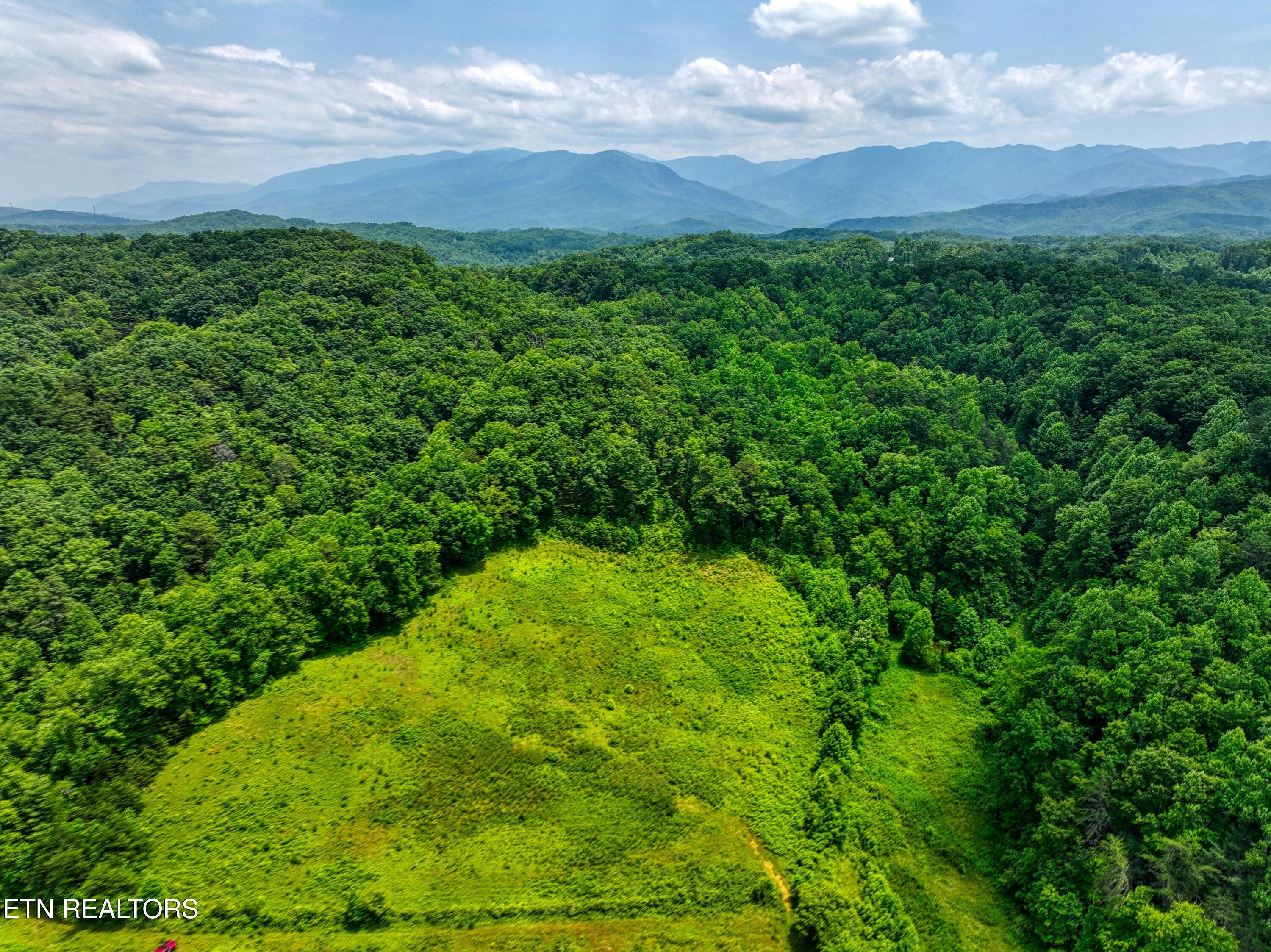 1A 4255 Lower Powdermill Road Sevierville TN 37876