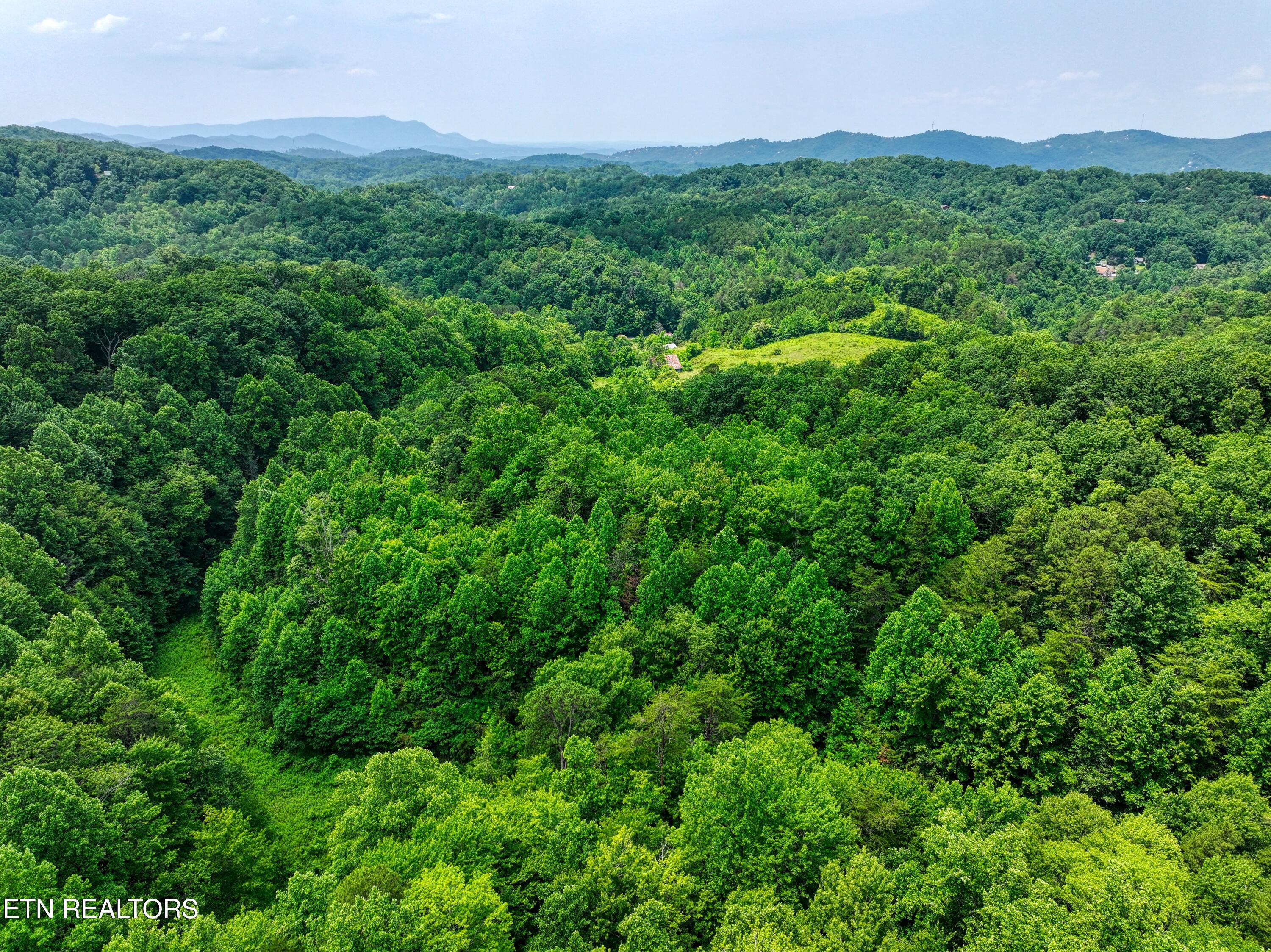 1A 4255 Lower Powdermill Road Sevierville TN 37876