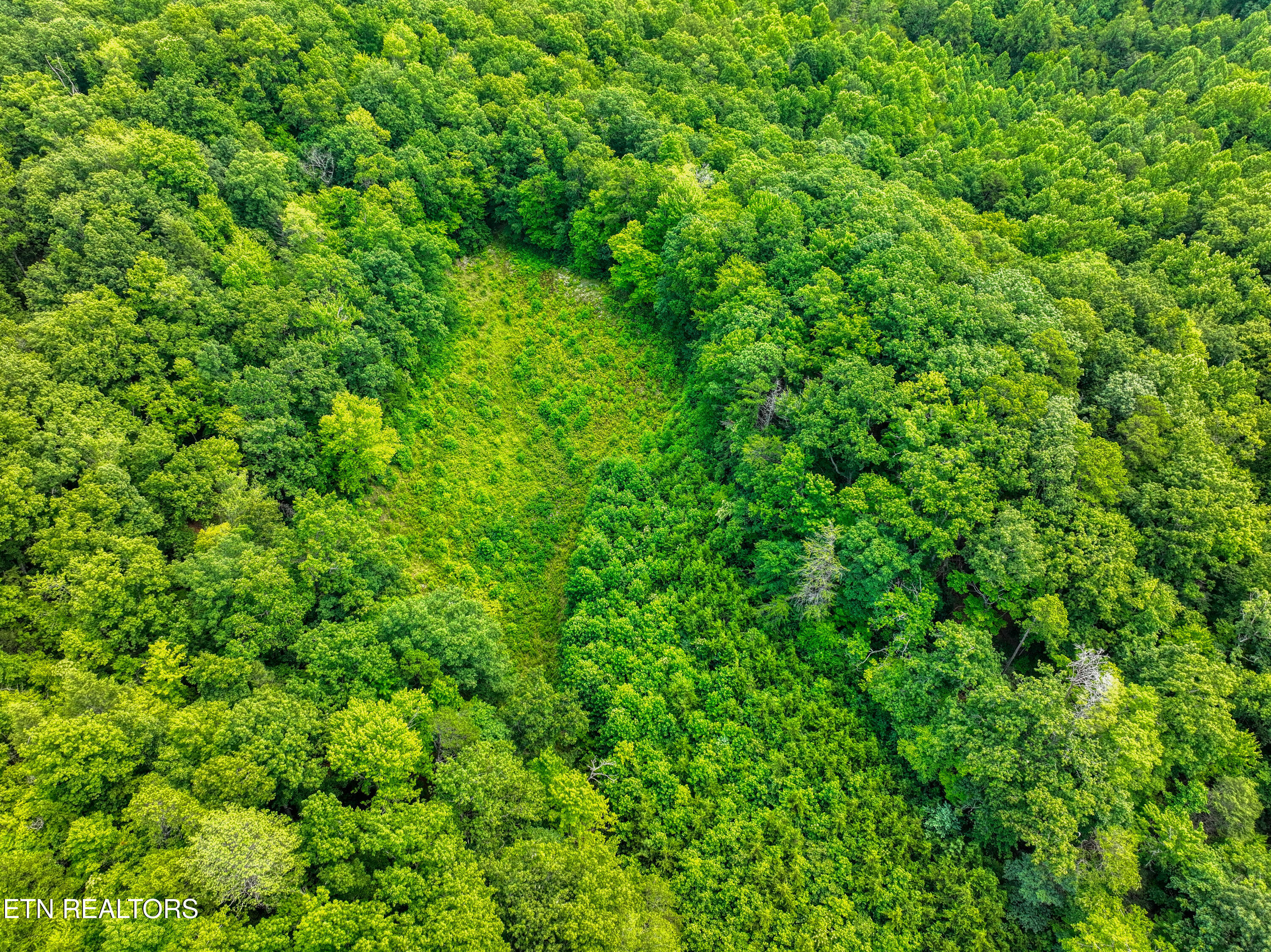 1A 4255 Lower Powdermill Road Sevierville TN 37876