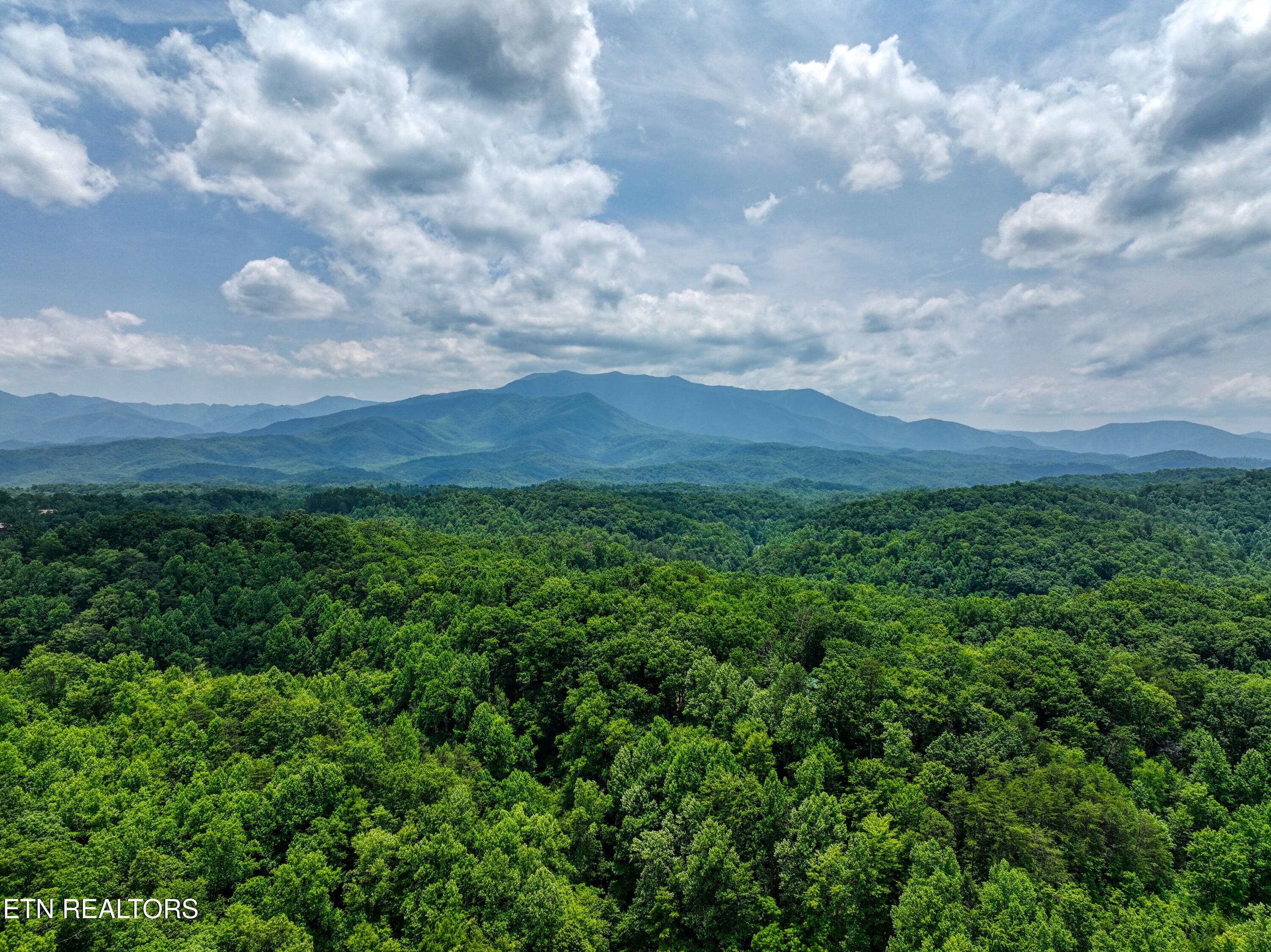 1A 4255 Lower Powdermill Road Sevierville TN 37876