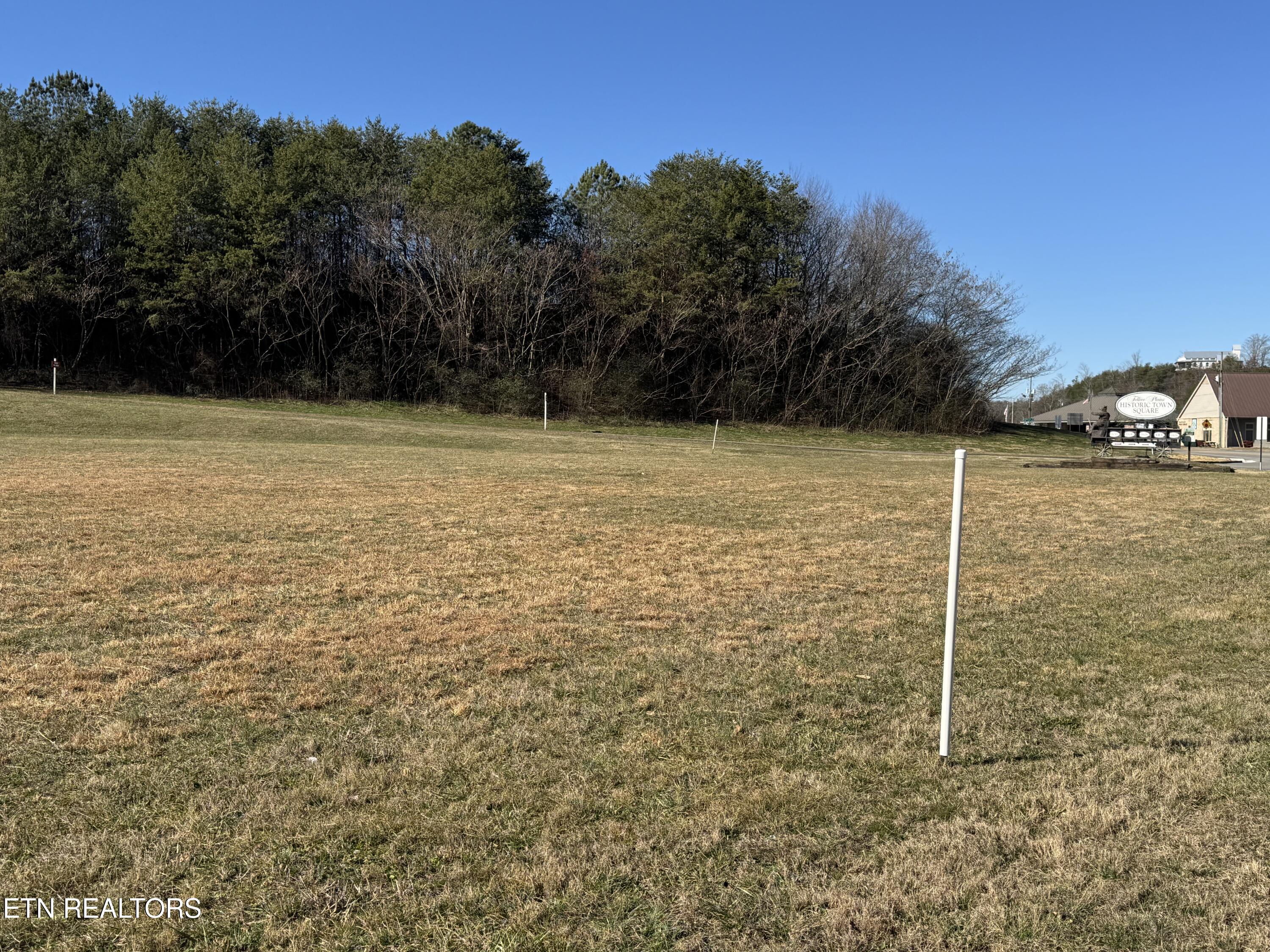 Lot 5 Cherohala Skyway Tellico Plains TN 37385