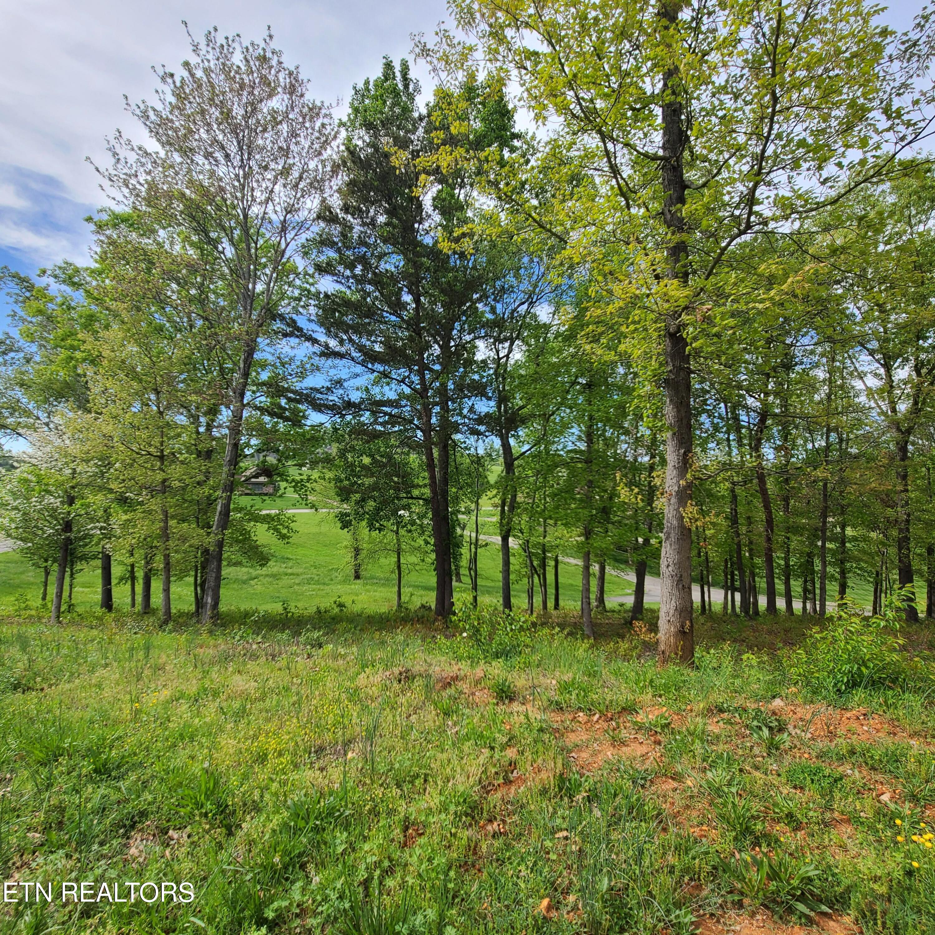 Lot 92r Majestic Circle Dandridge TN 37725