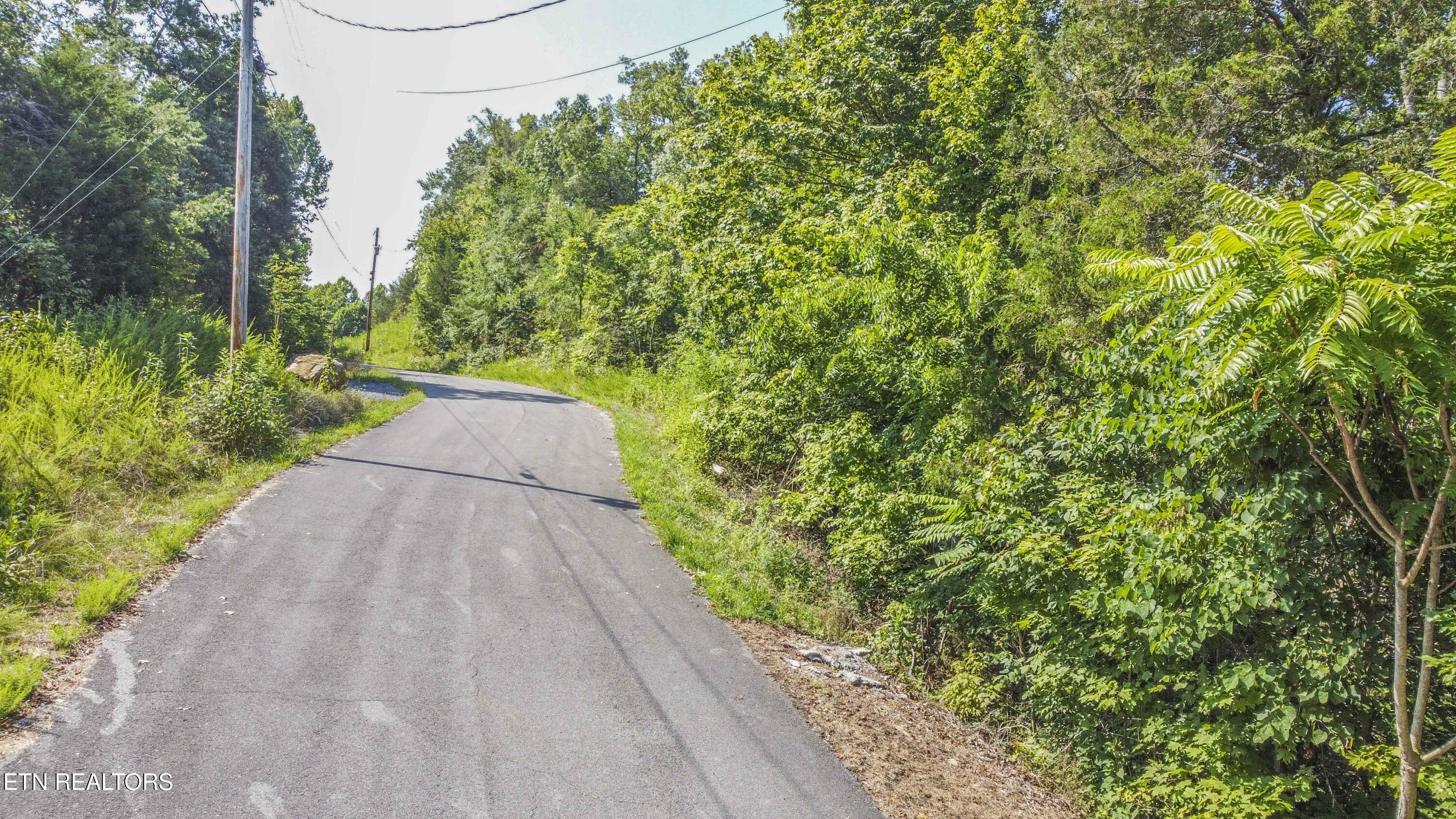 Fishtail Cove Dandridge TN 37725