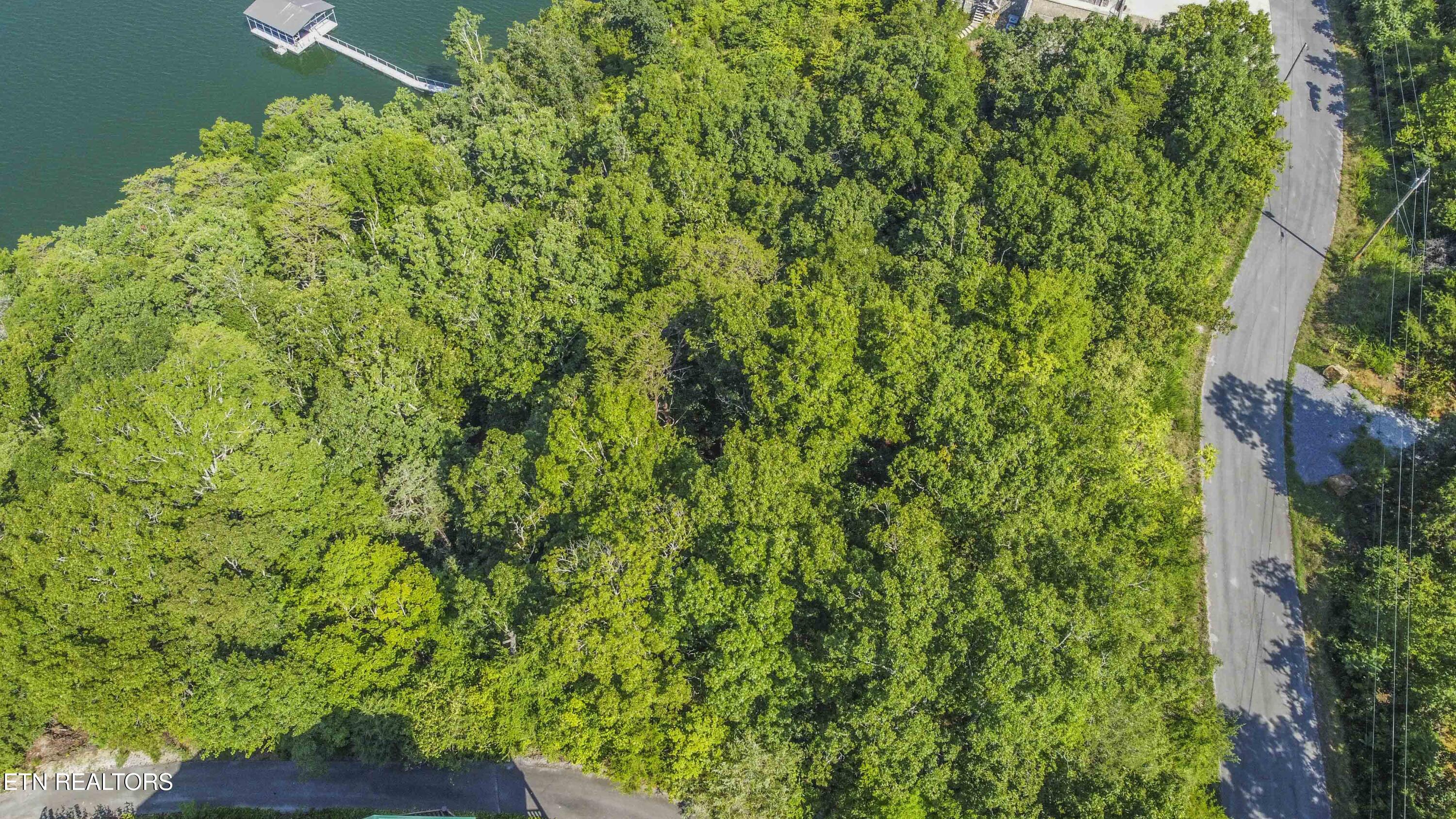 Fishtail Cove Dandridge TN 37725