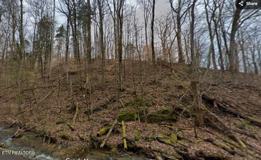9025 Conner Road Powell TN 37849