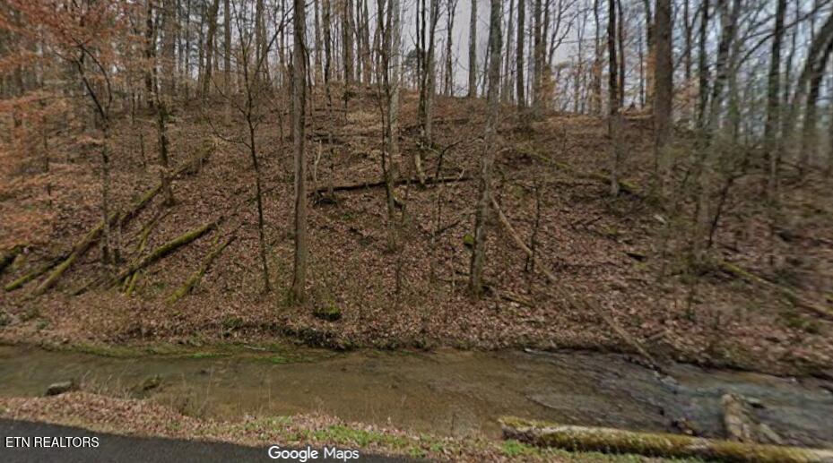 9025 Conner Road Powell TN 37849